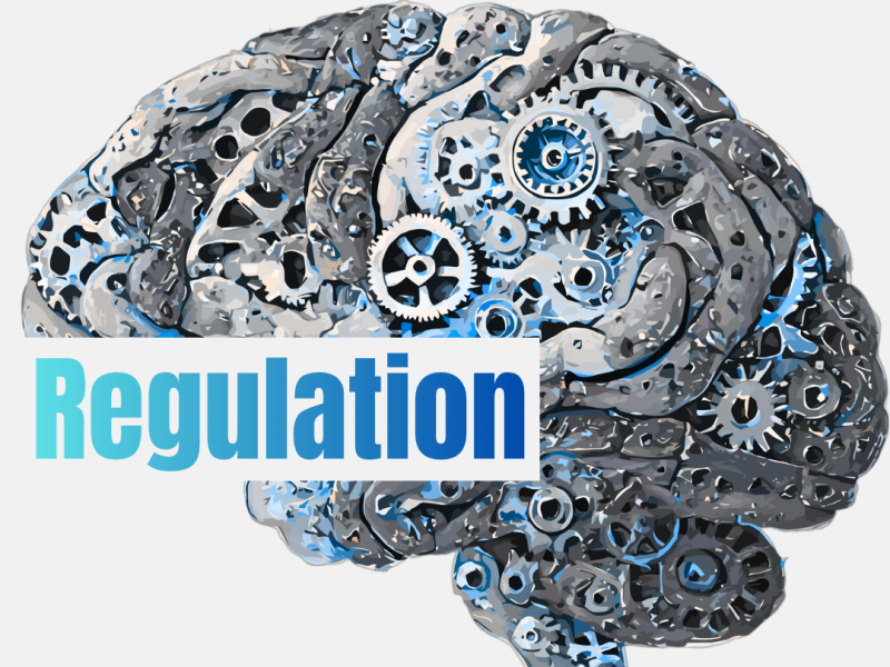 Regulation ~ defining a tricky thing