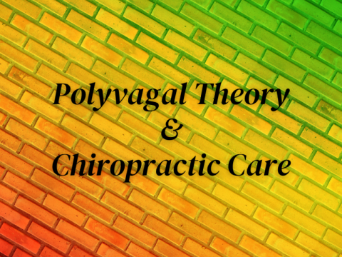 Polyvagal Theory & Chiropractic Care