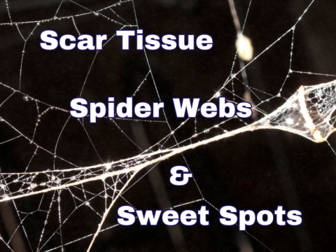 Scar Tissue, Spider Webs & Sweet Spots (a.k.a. why you should do your rehab exercises)