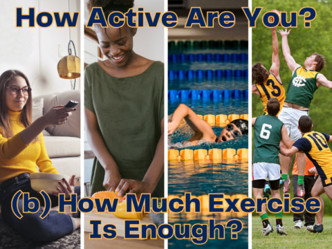 How Active Are You? ~ (b) How Much Exercise is Enough?