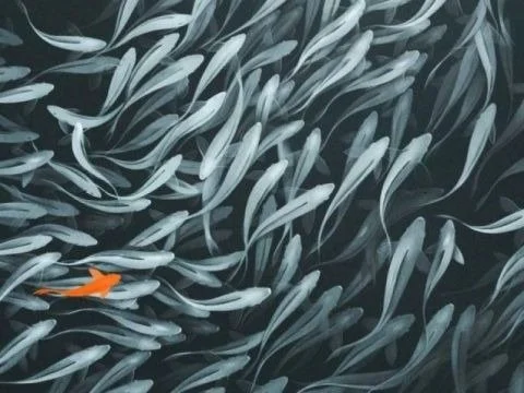 Fish, Fatty Acids and Inflammation