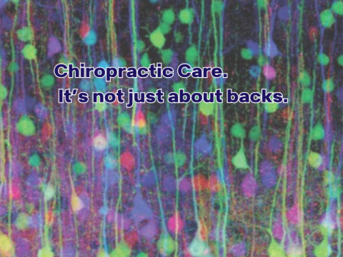 Chiropractic Care. It's not just about backs.