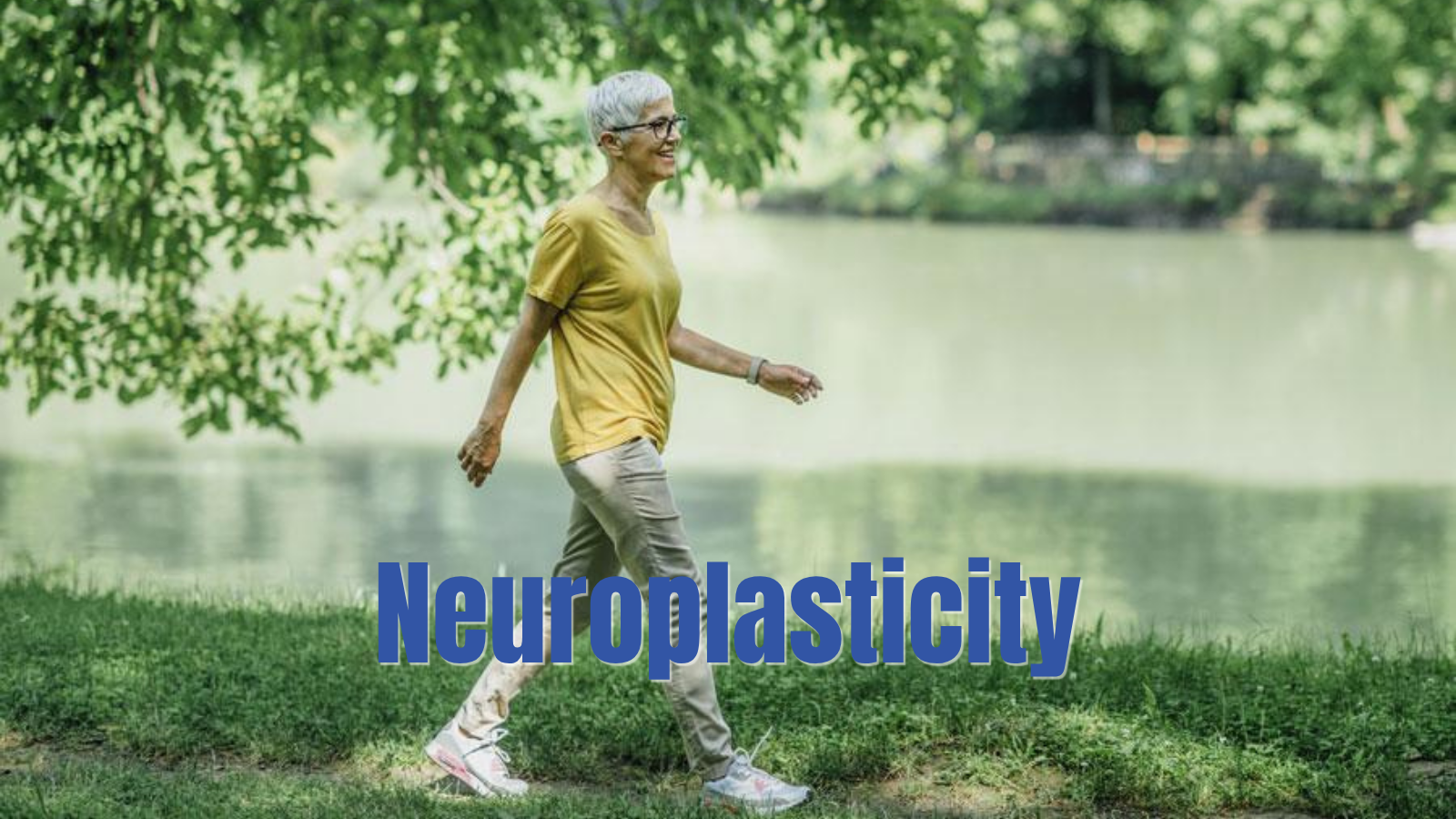 Neuroplasticity