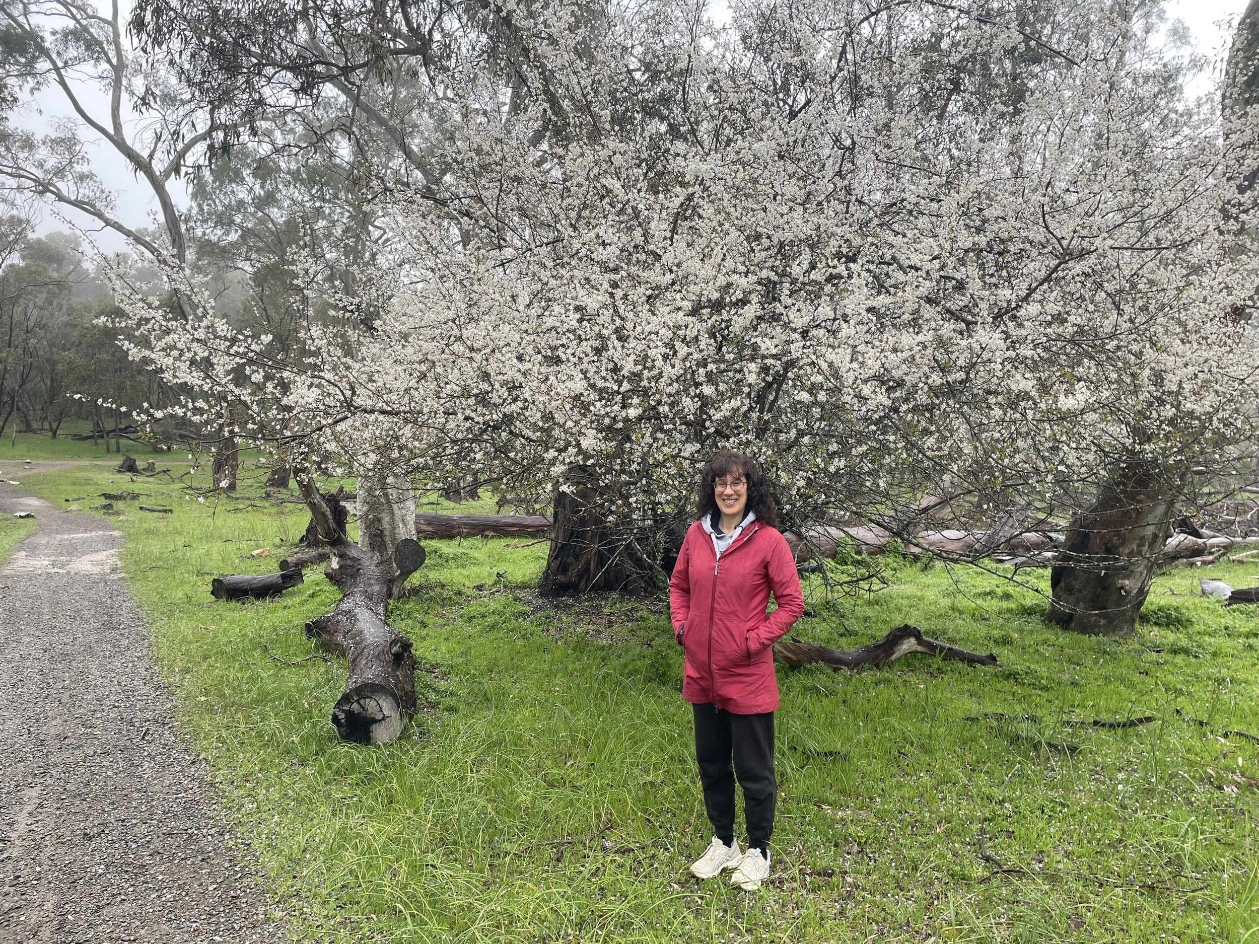 A woman in a red jacket and black pants standing outdoors on a grassy area with blooming trees in the background.