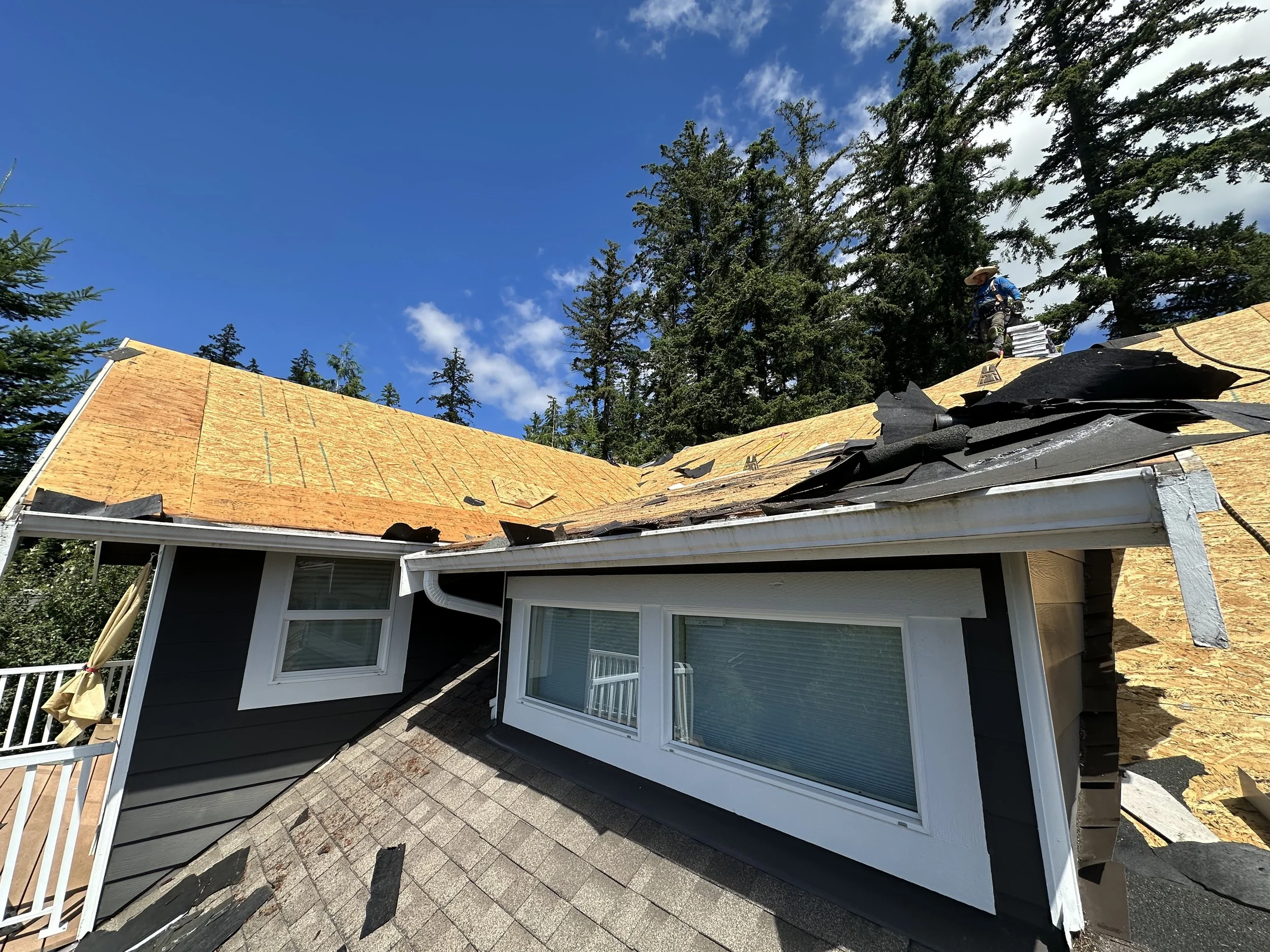 Shingles removed all the way down to the wood decking during a single layer tear off. New roof instillation.