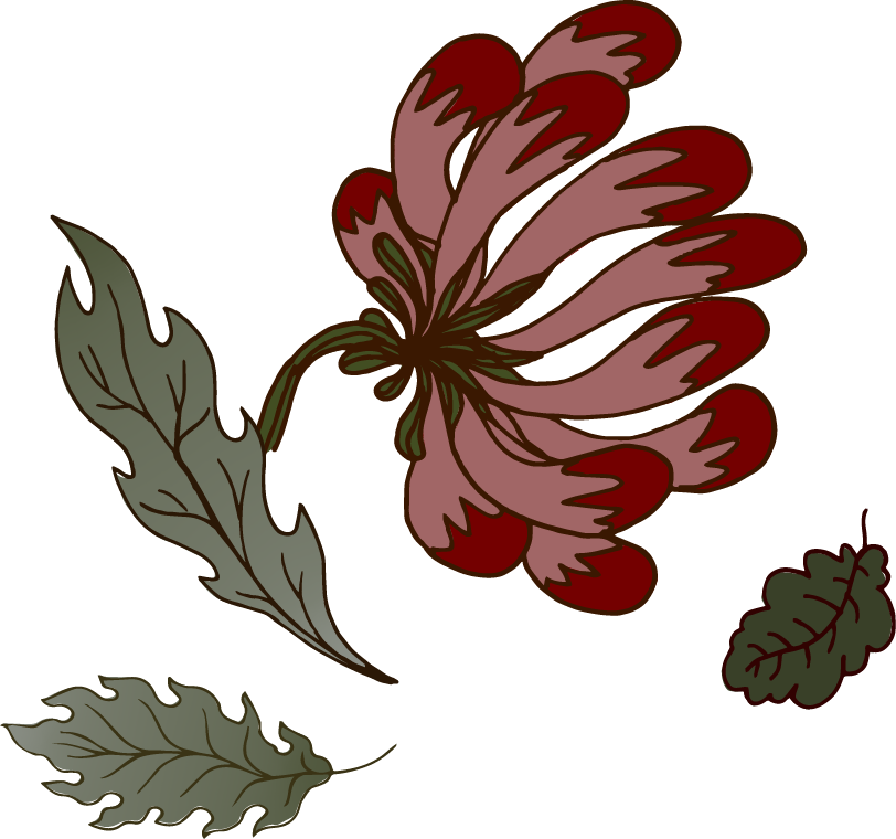 Illustration of a red and pink flower with green leaves on a black background.