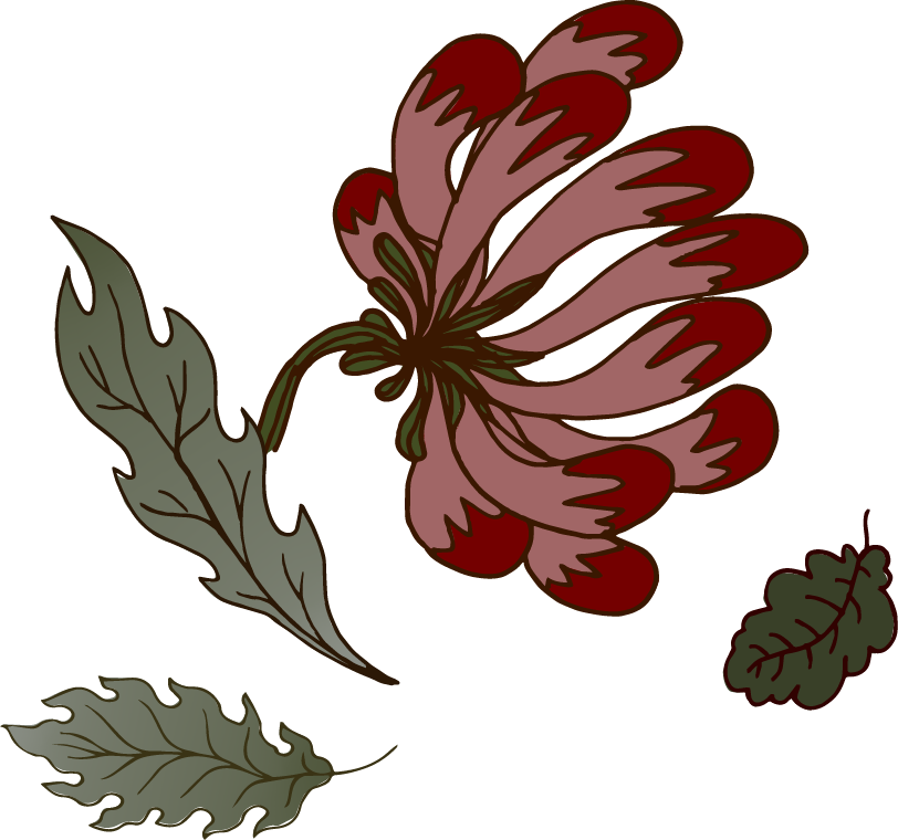 Illustration of a large flower with multiple petals in shades of brown and red, with two green leaves.