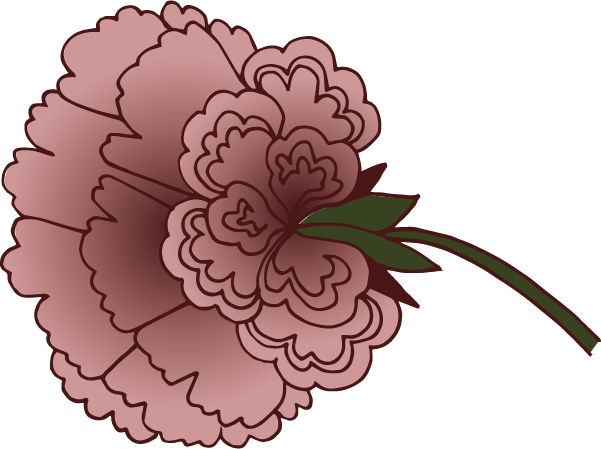 Illustration of a pink carnation flower with green leaves and a curved stem.