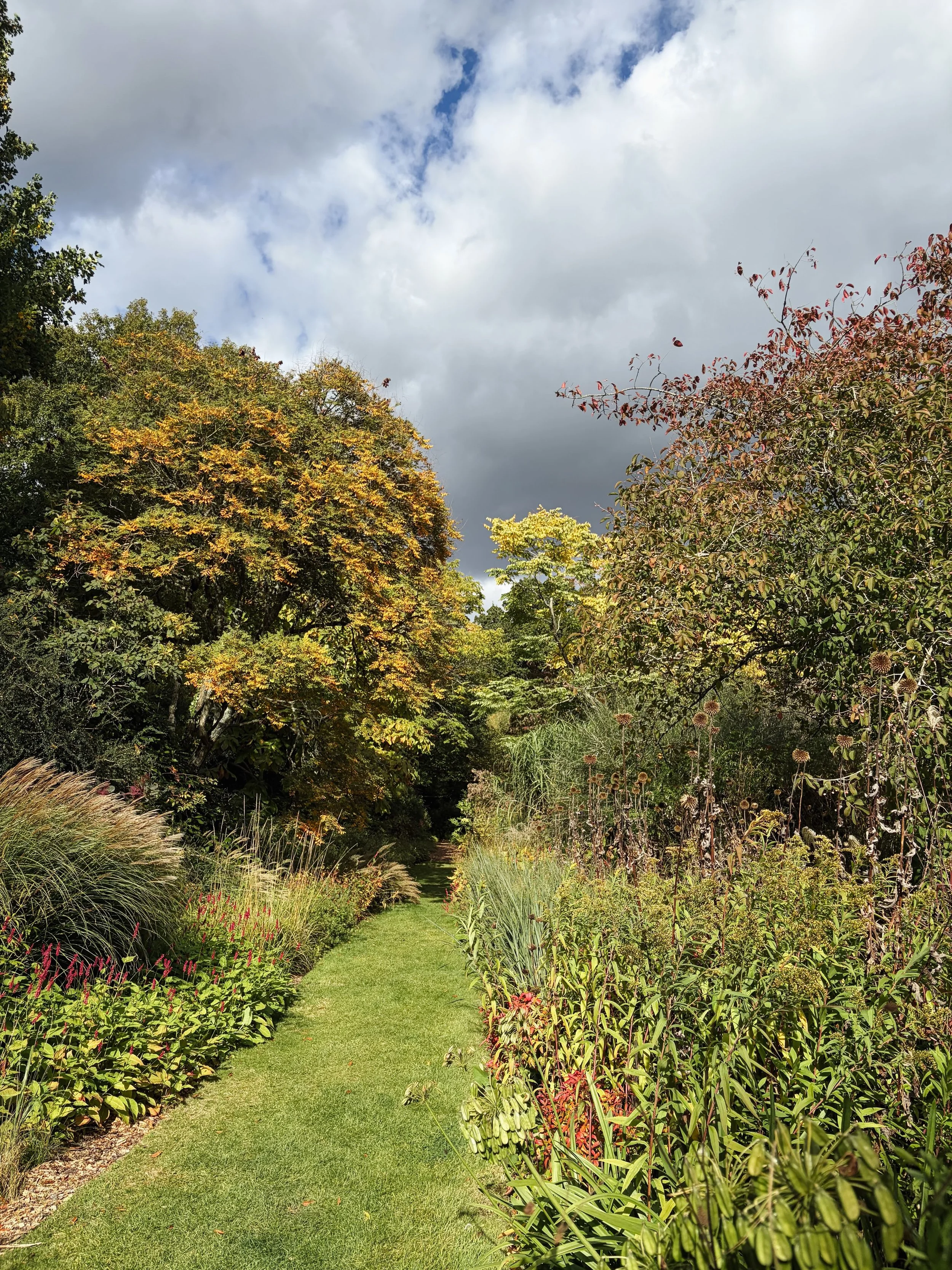 Having already filled my garden with their grasses, @knollgardens has been high on my list to visit for a long time. October is the perfect time to visit, and getting a tour and masterclass from Neil Lucas makes it even better. 

Now, I love a grass 