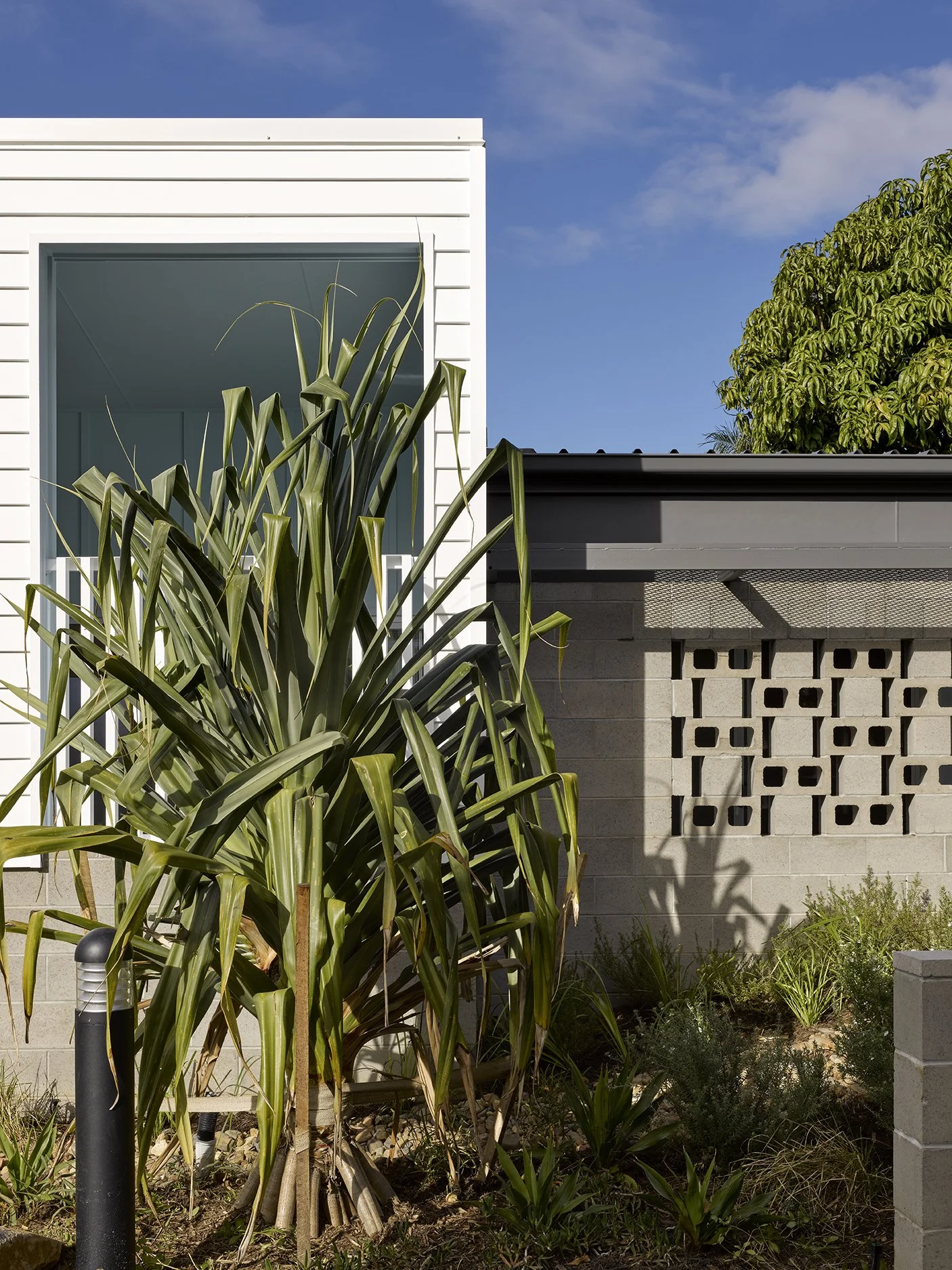 ©CFJ_Ann St Garden Villas-05.jpg