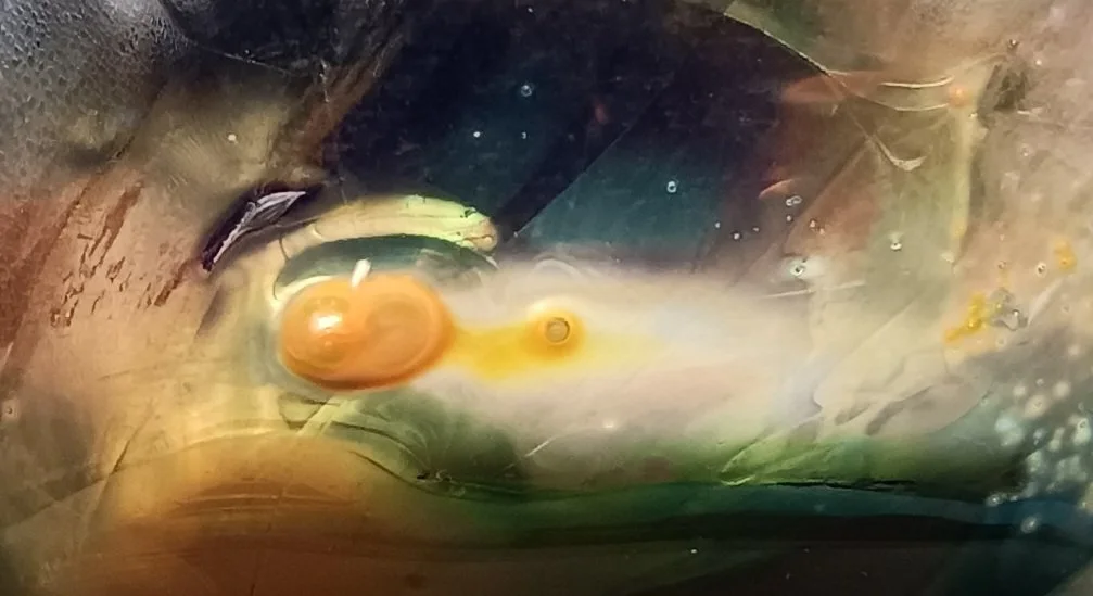 20260720_202026.jpg
