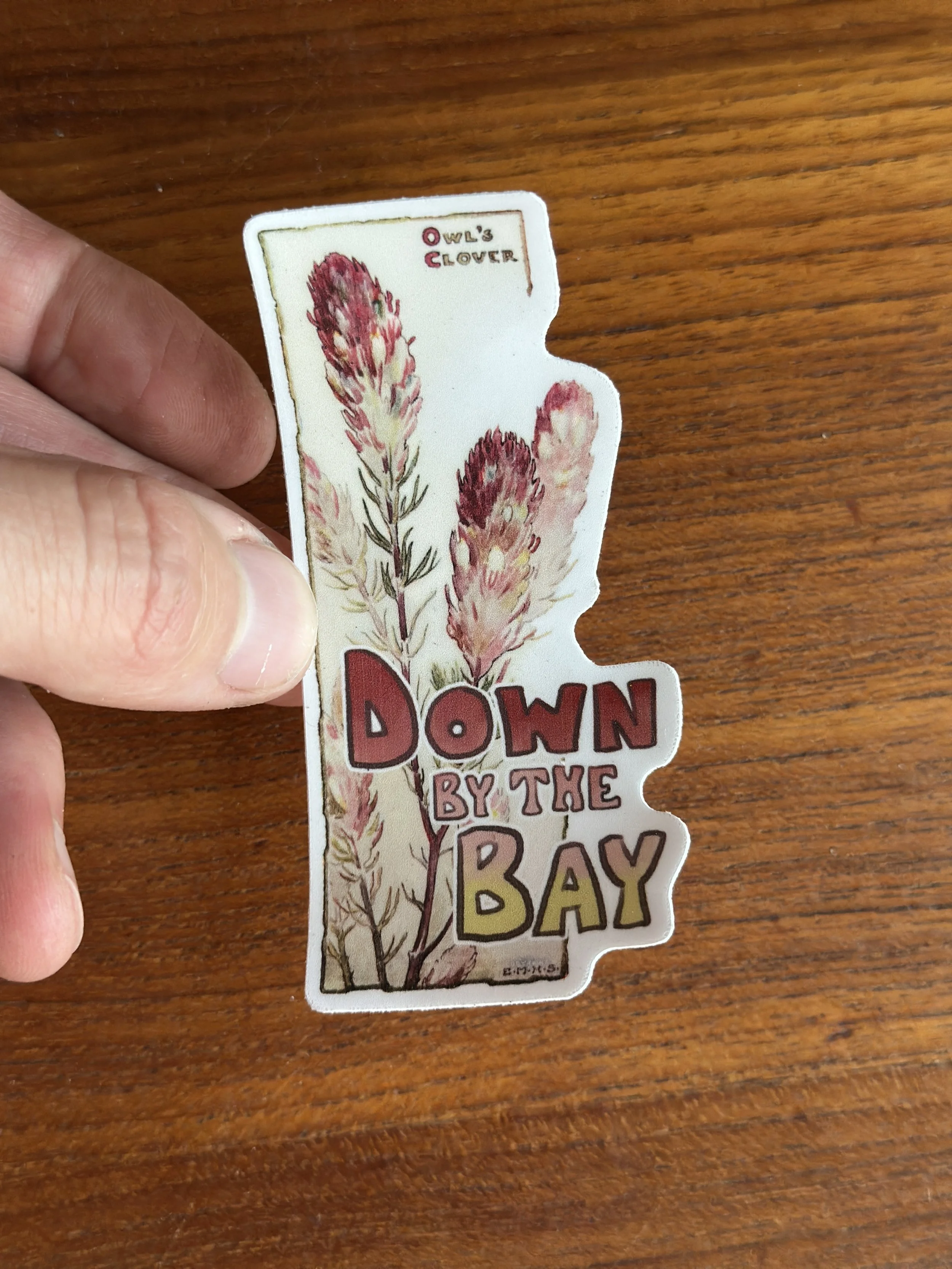 Owl's Clover Sticker