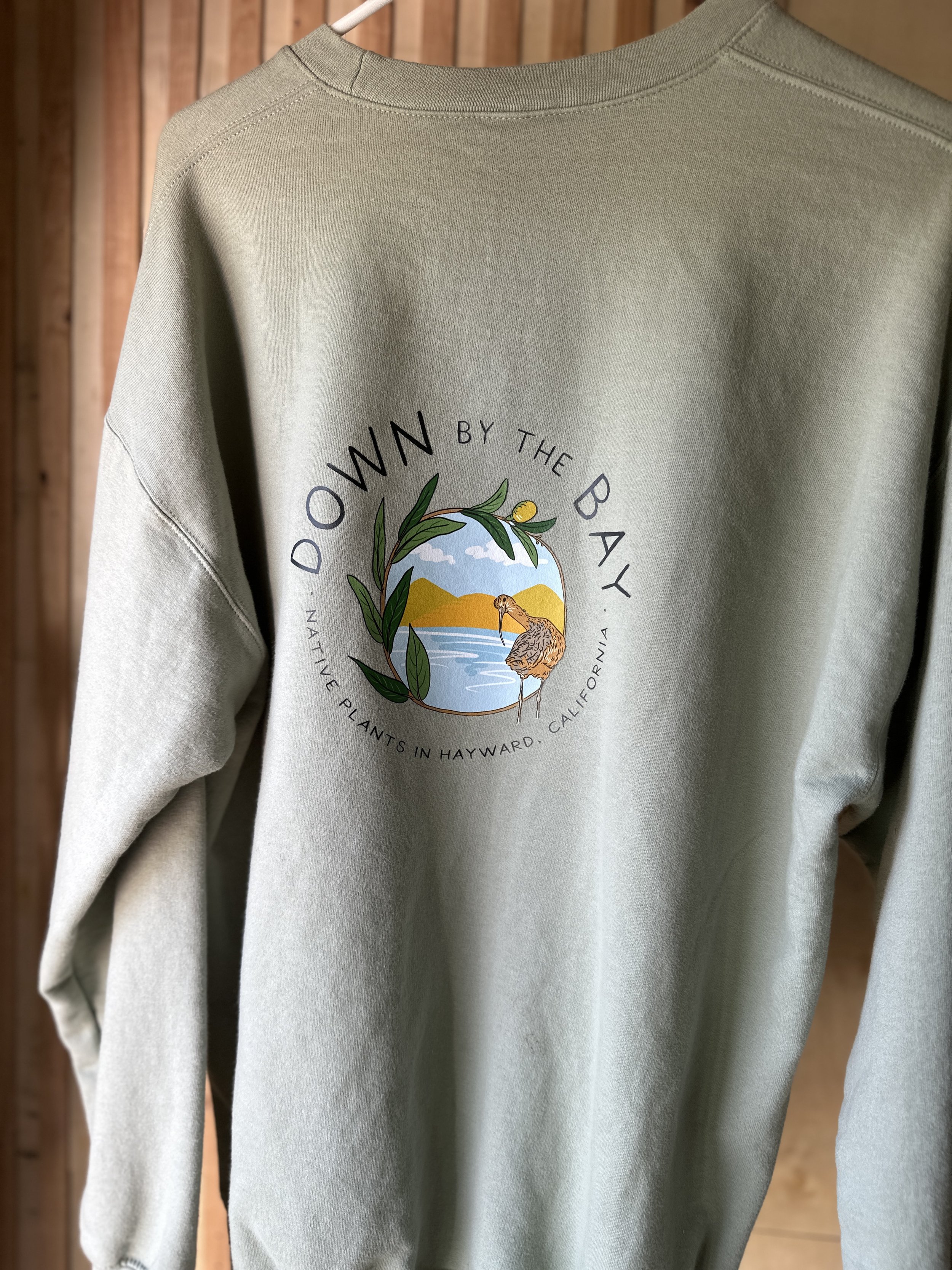 IMG_4937.jpg