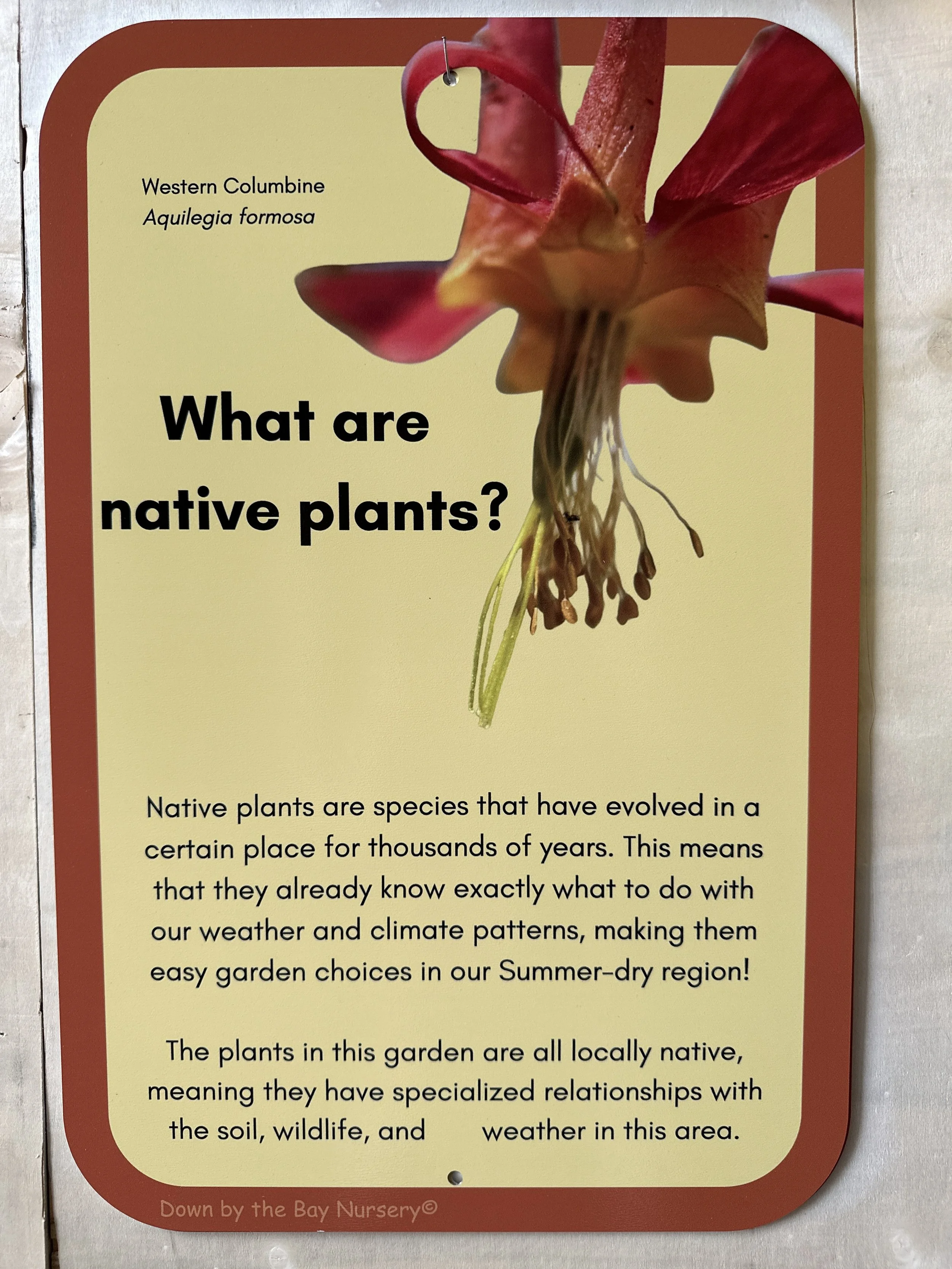 Native Plants Sign