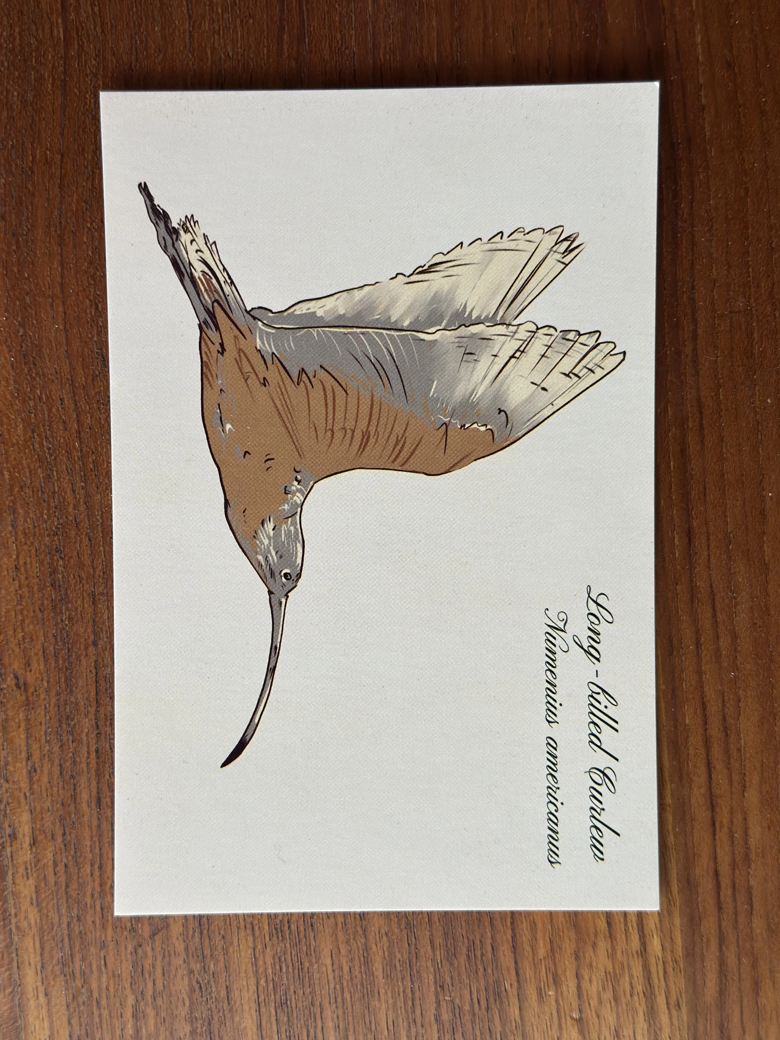 Postcard