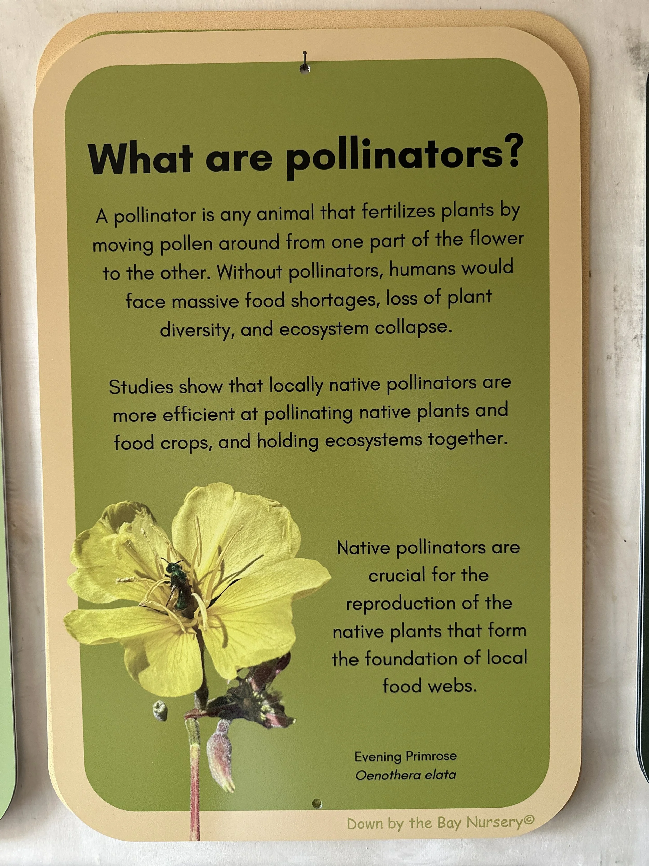 Pollinators Sign
