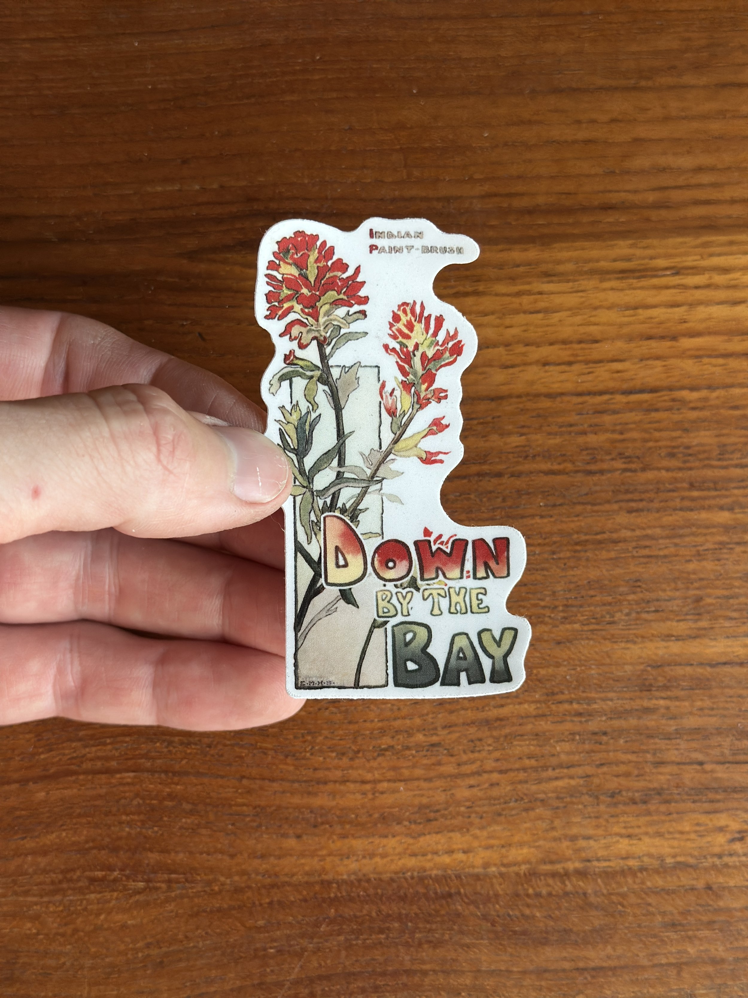 Indian Paintbrush Sticker