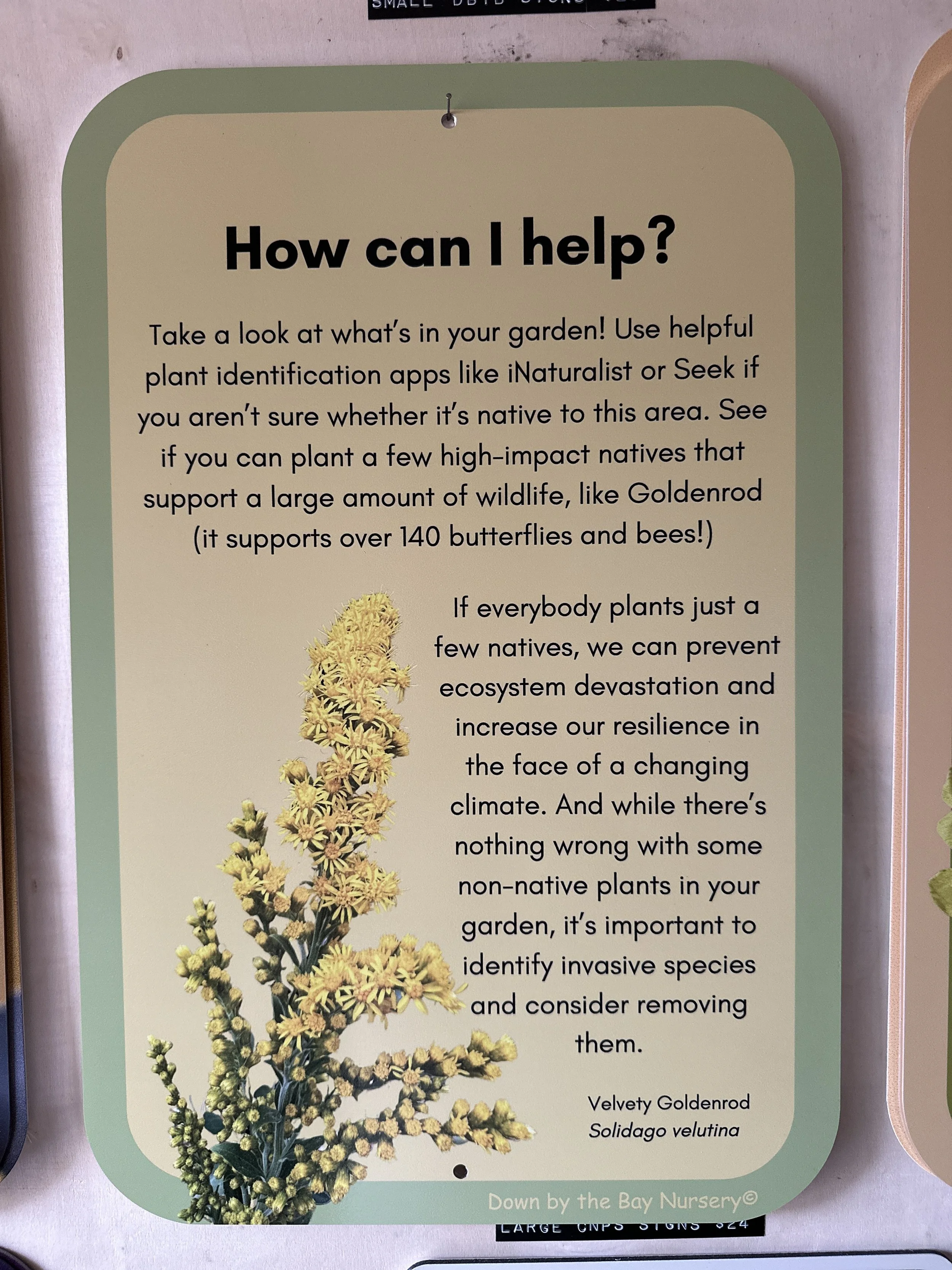 How can I help sign