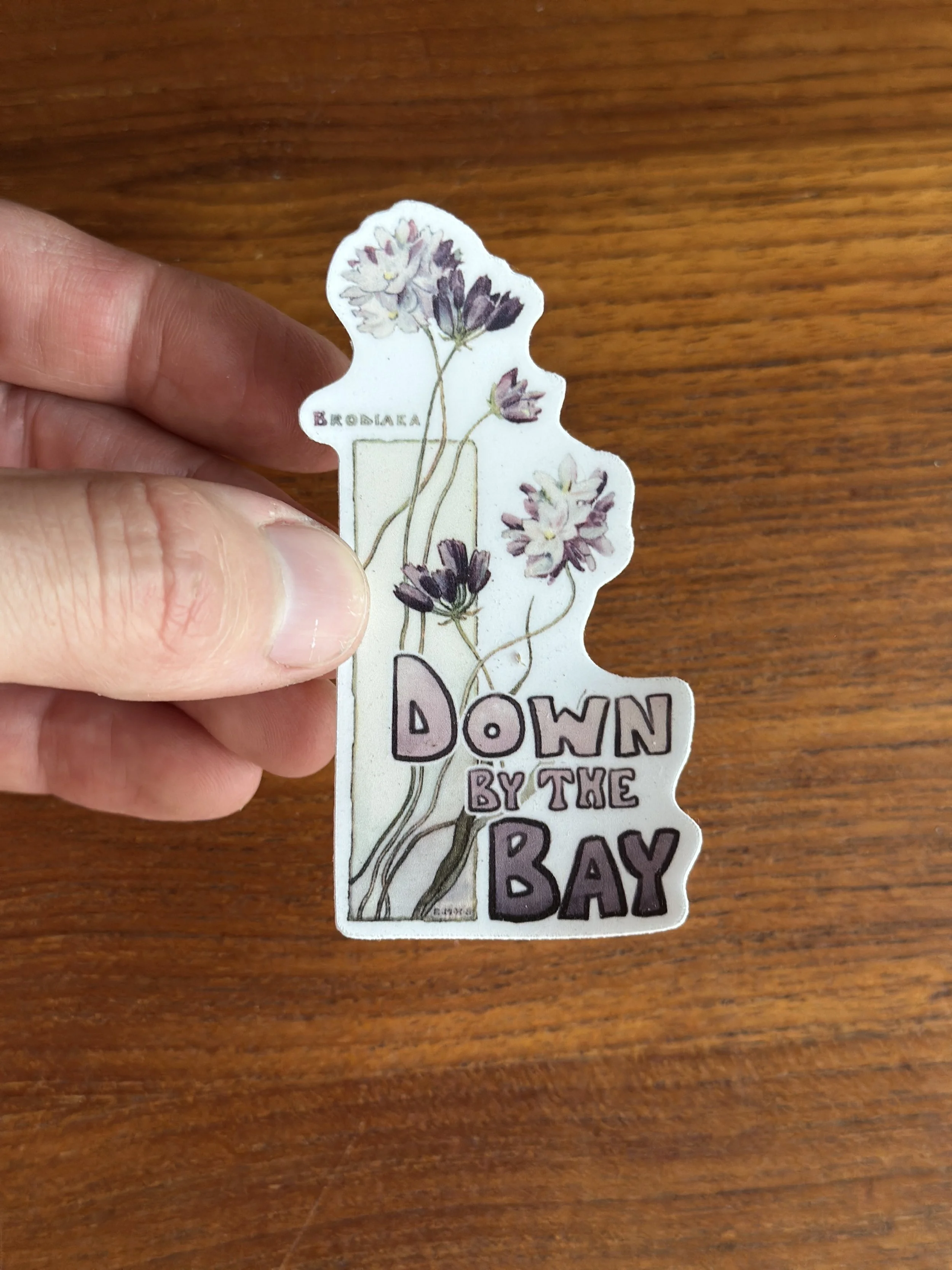 Brodiaea Sticker