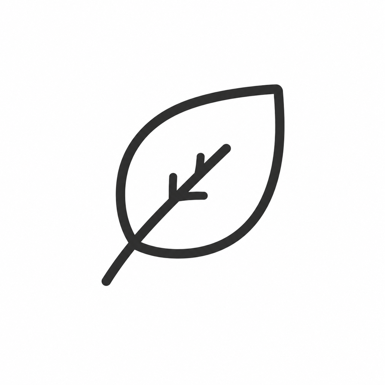 Simple line drawing of a leaf with a vein in the middle