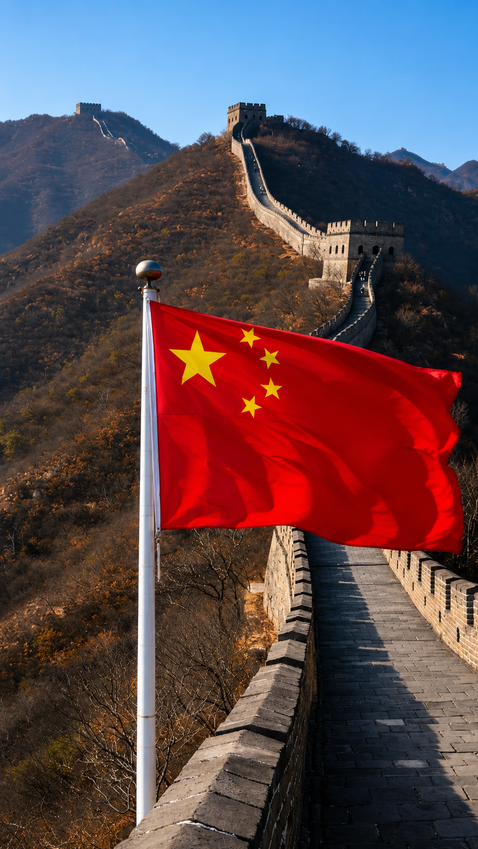 Chinese Language