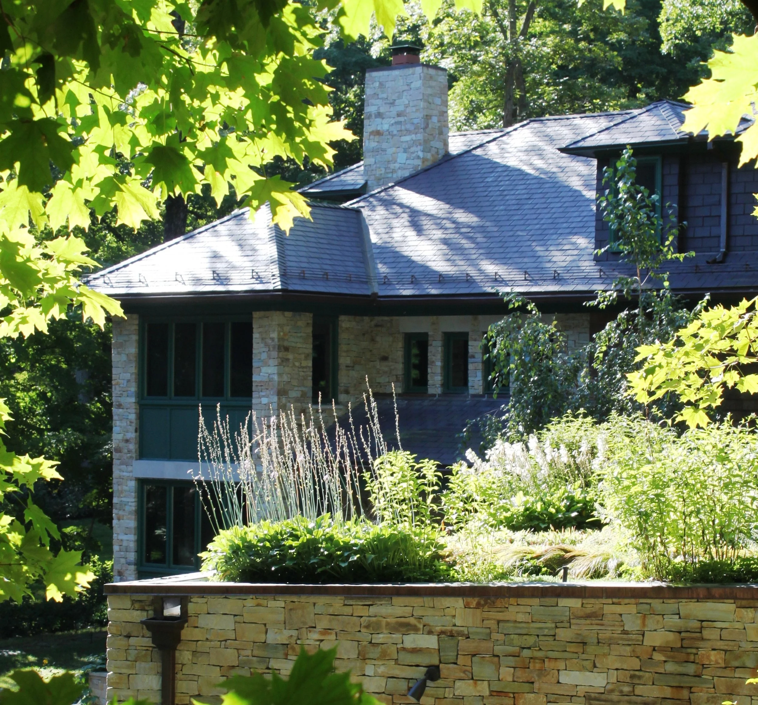 Goldman Green roof 4.jpg