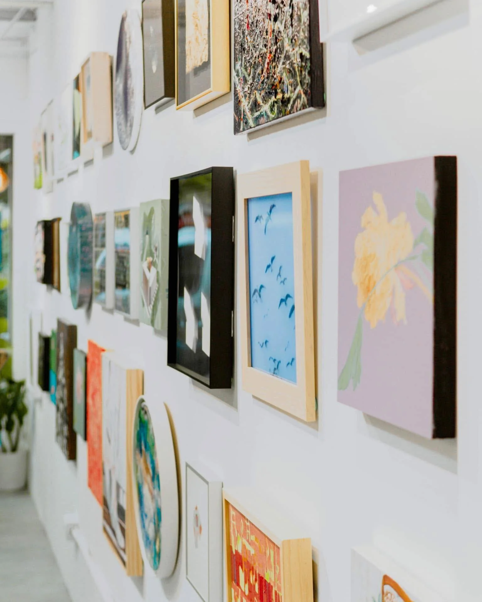 Gallery wall with various colorful framed paintings and photographs displayed in an art gallery.