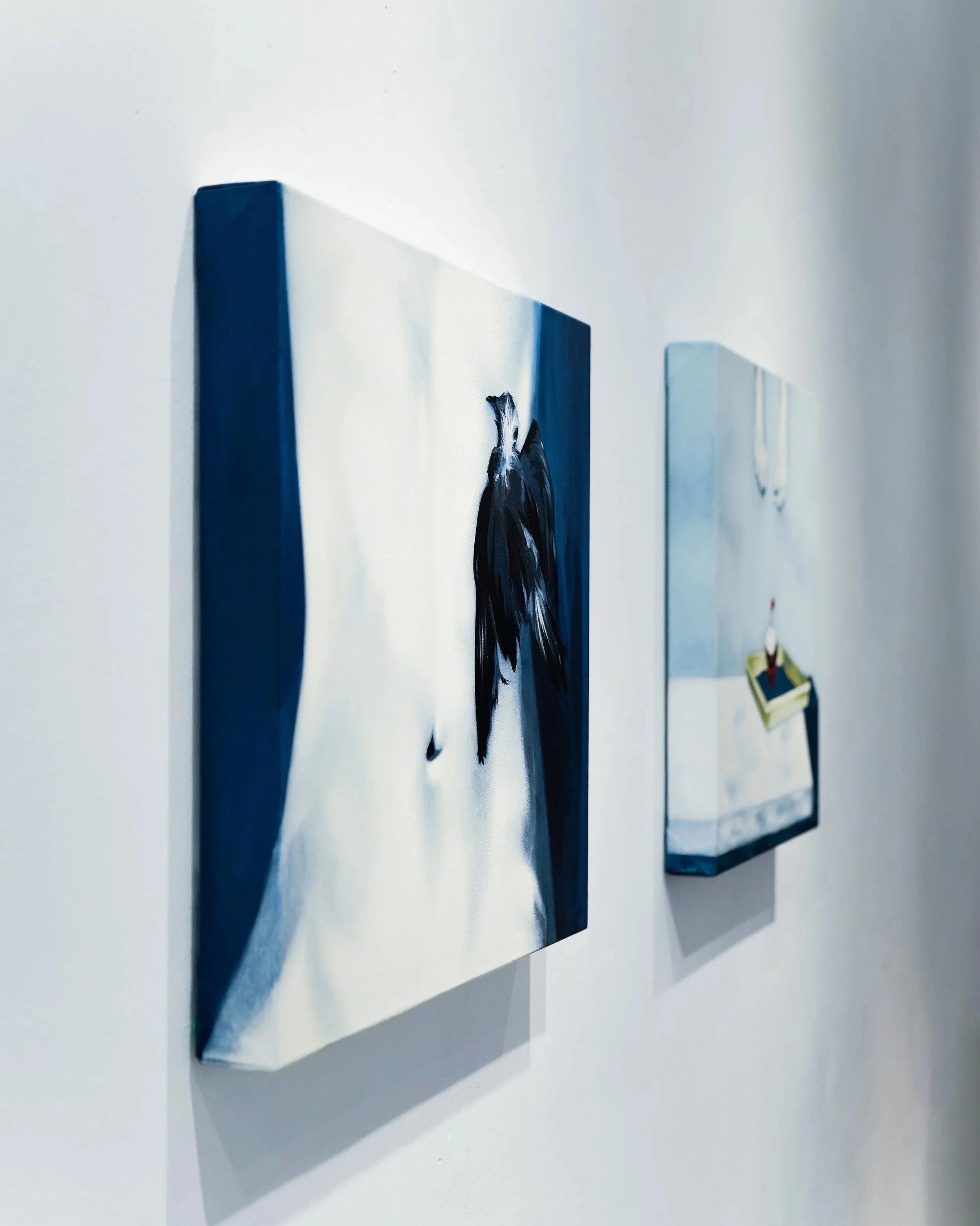 Close-up of a white box with dark blue edges and a detailed painting of a bird on it. The box is positioned in front of a plain white surface.