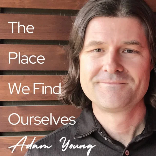 "The Place We Find Ourselves" cover
