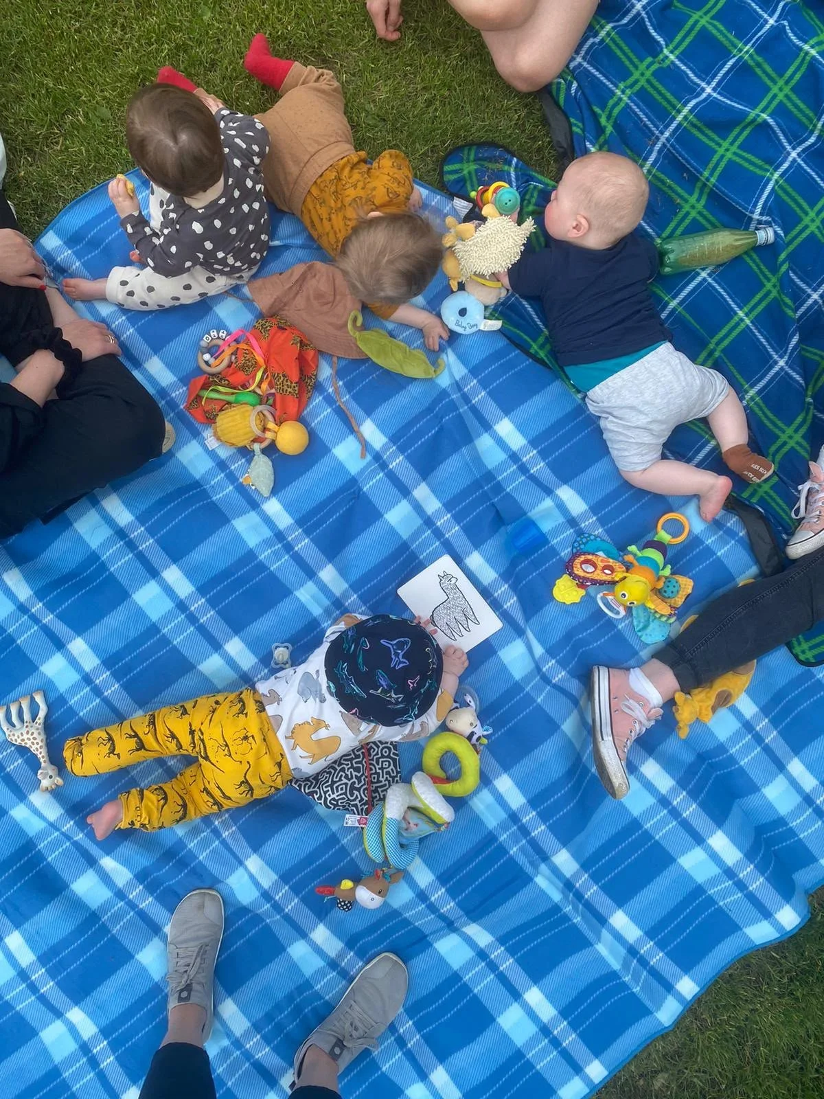 Multiple babies enjoying tummy time or sitting up on a blue chequered picnic blanket outdoors with parents, baby toys are scattered around the blanket.