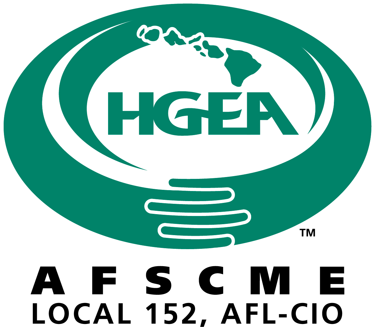 HIGA logo with a globe and the word 'HIGA' inside a circular design.