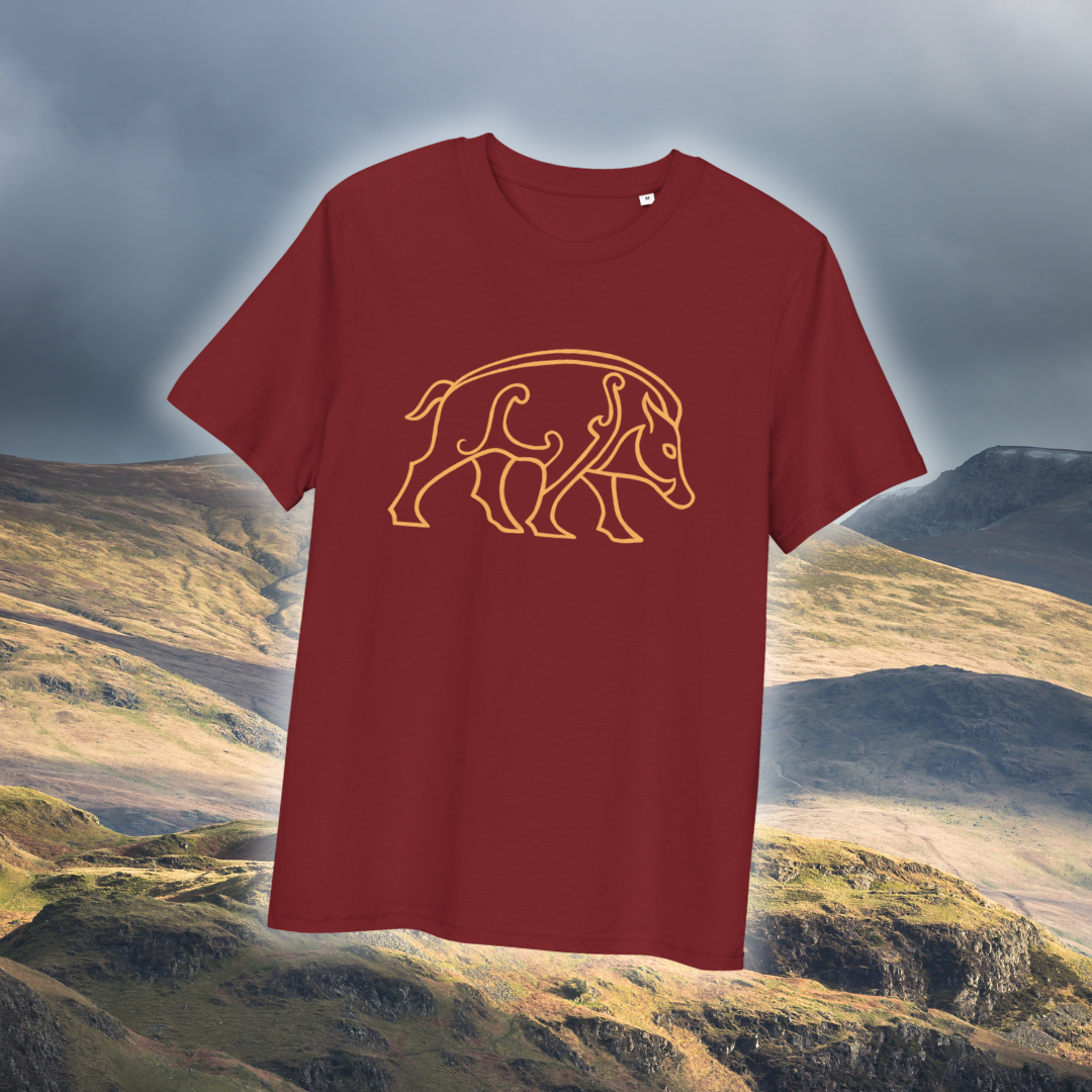 PICTISH BOAR t-shirt