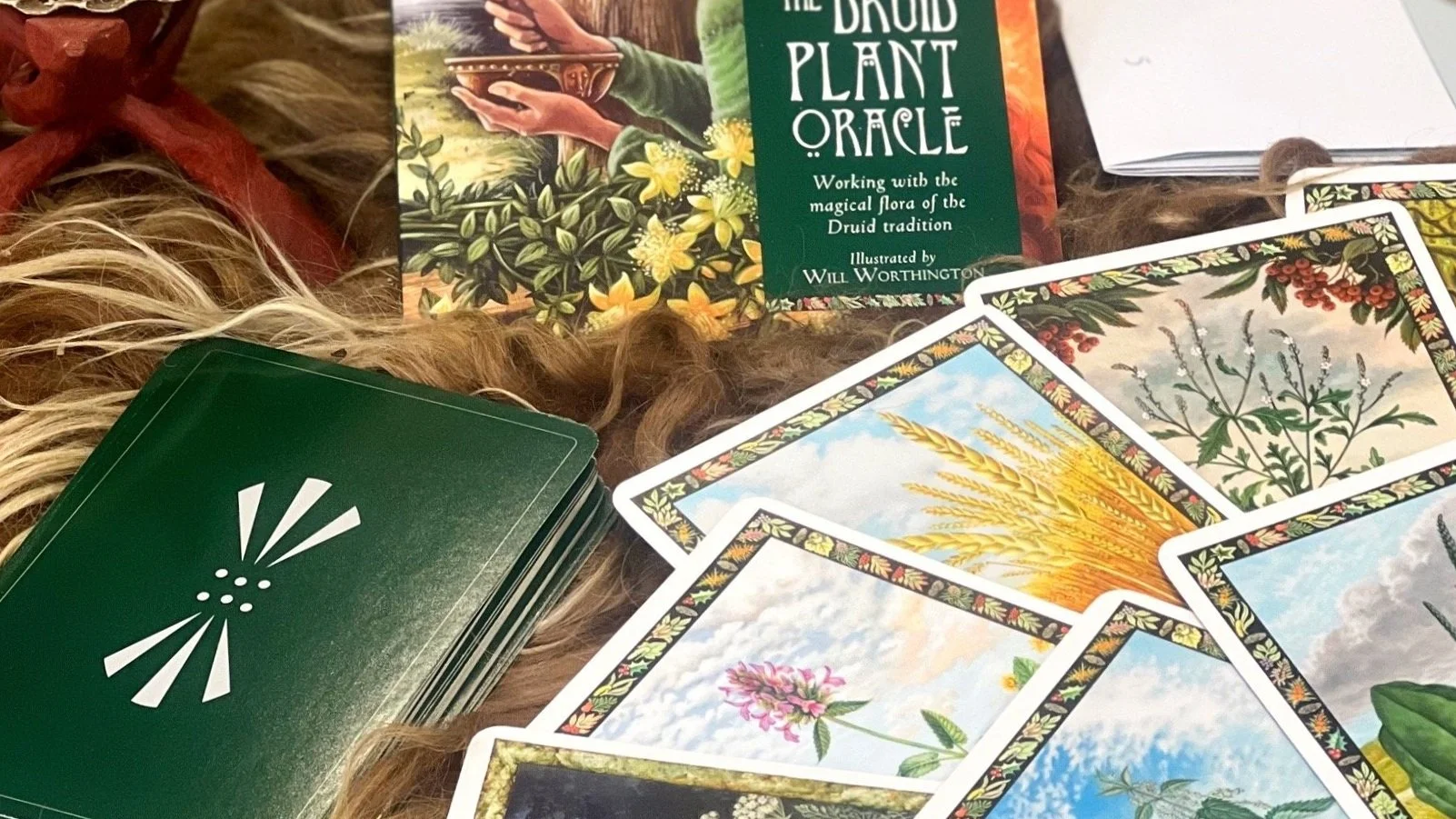 Journeying Through the Oracle: Connect, Discover, and Divine