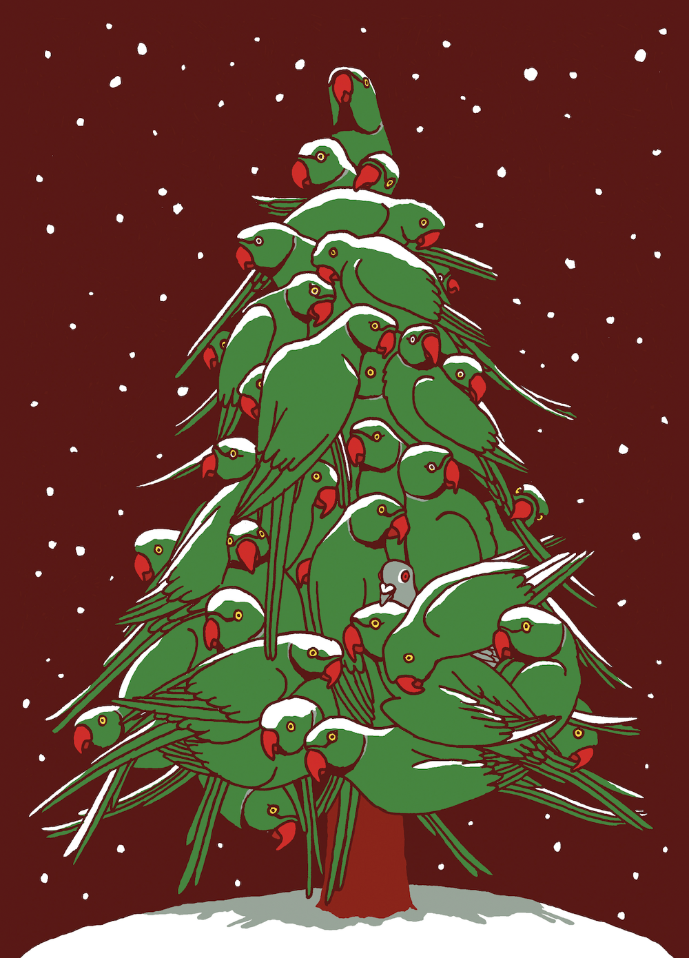 site_Kerstparkieten_Yoko_Heiligers_1000.png