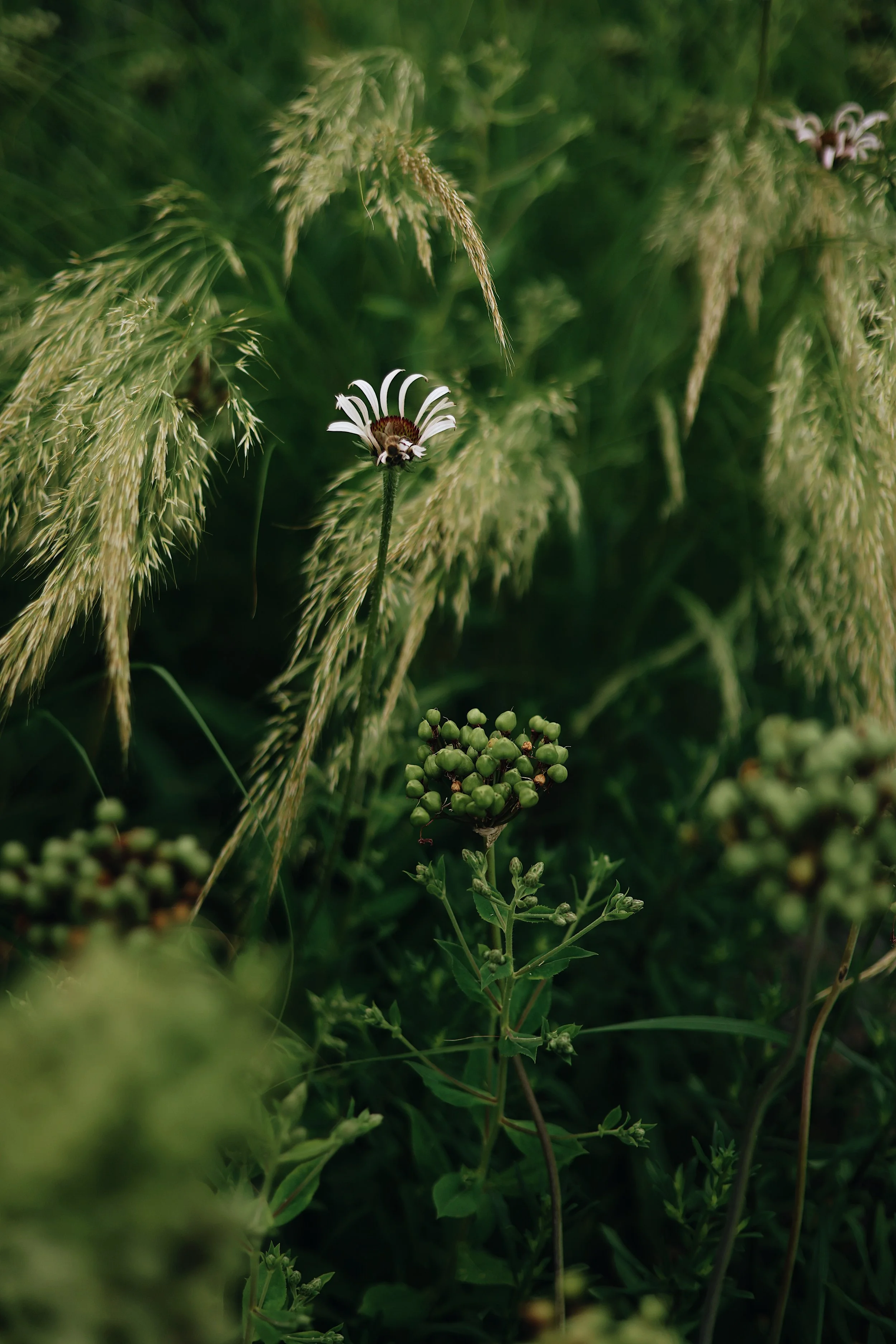 67C1C122-3504-4F4F-8AA4-0E10BC1A6EFD.png