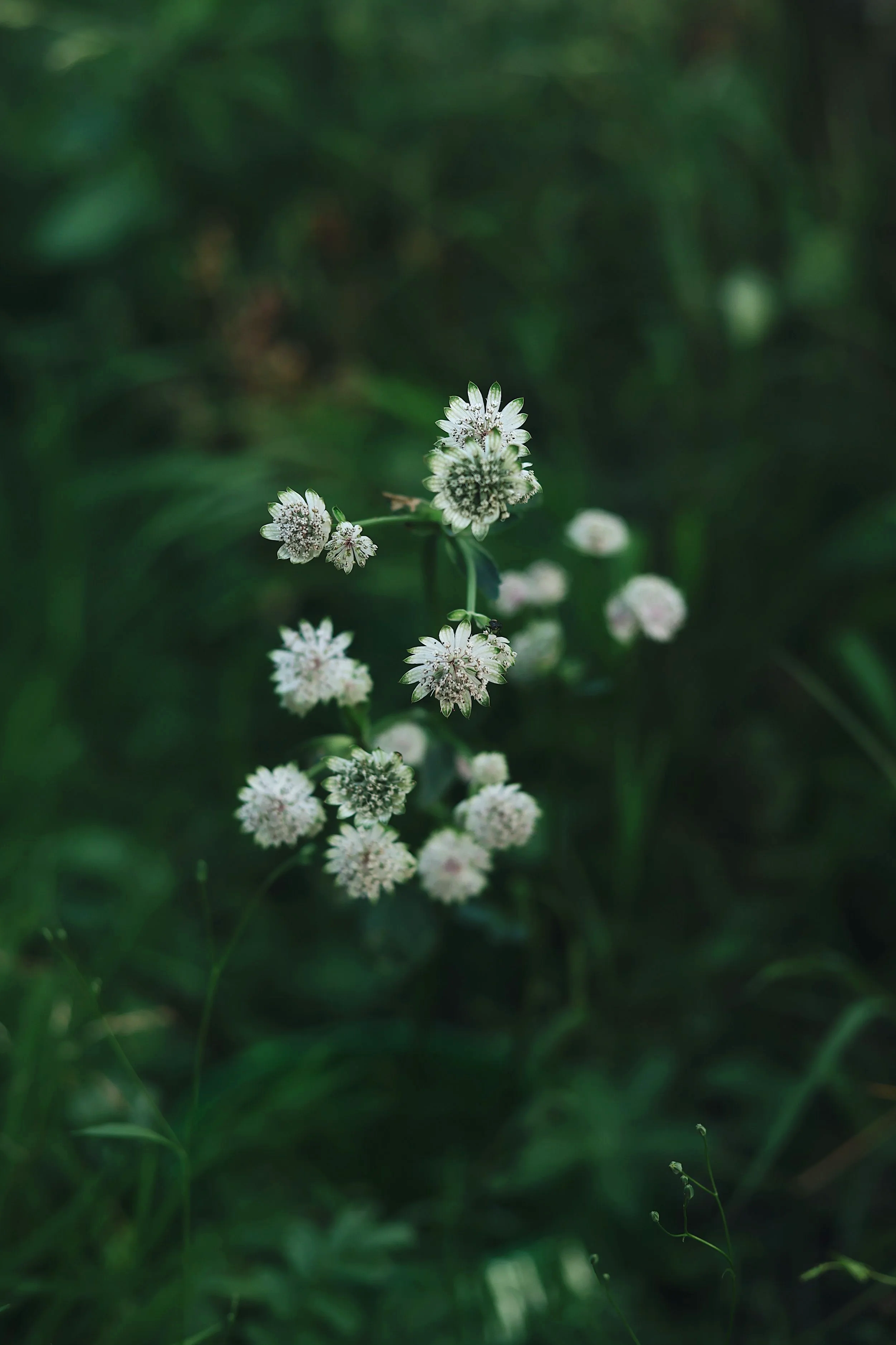 9875F575-1639-4713-8A9F-99761307C07B.png