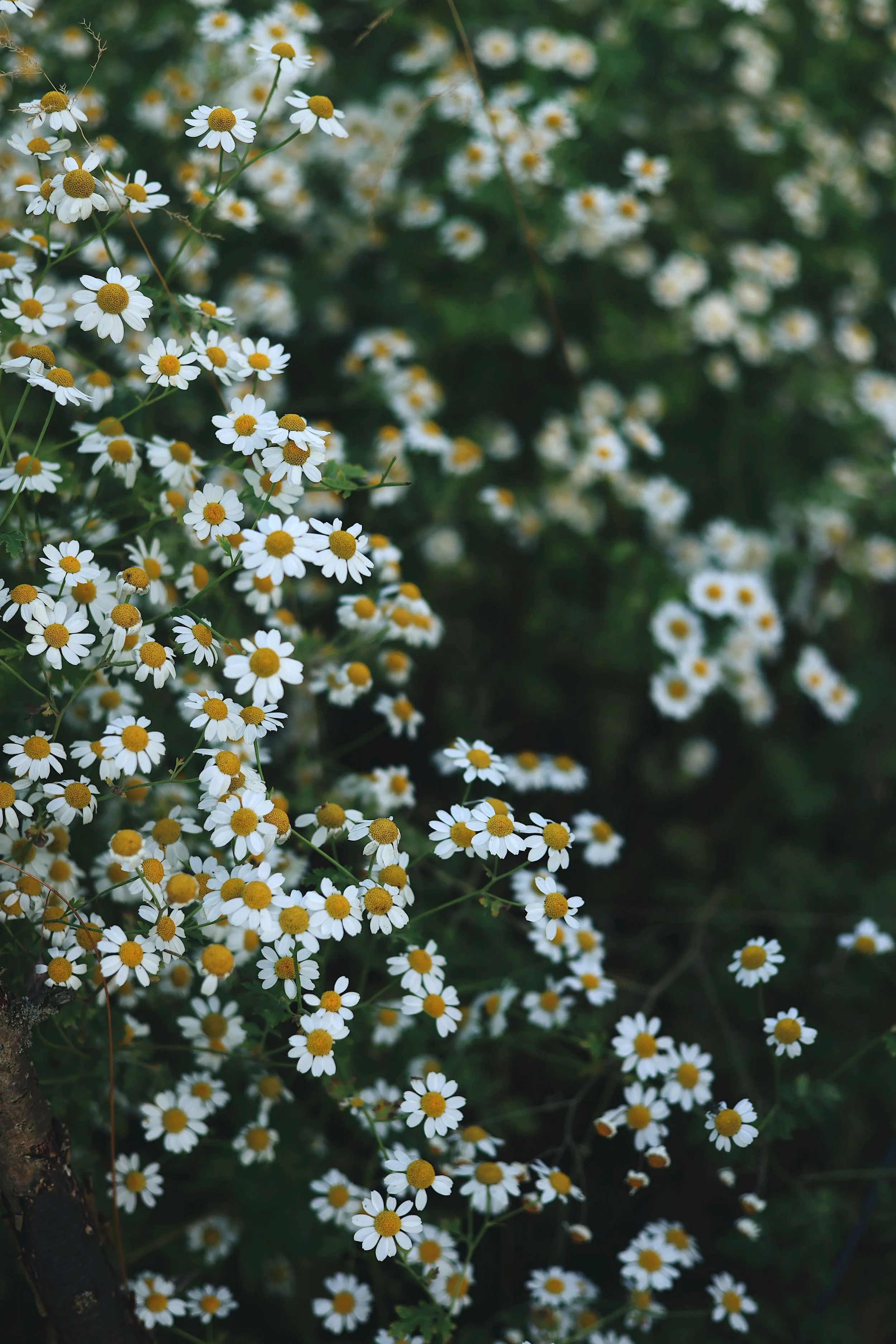 D74F5BF7-EDB0-436C-B99B-52D2FE69B60B.png
