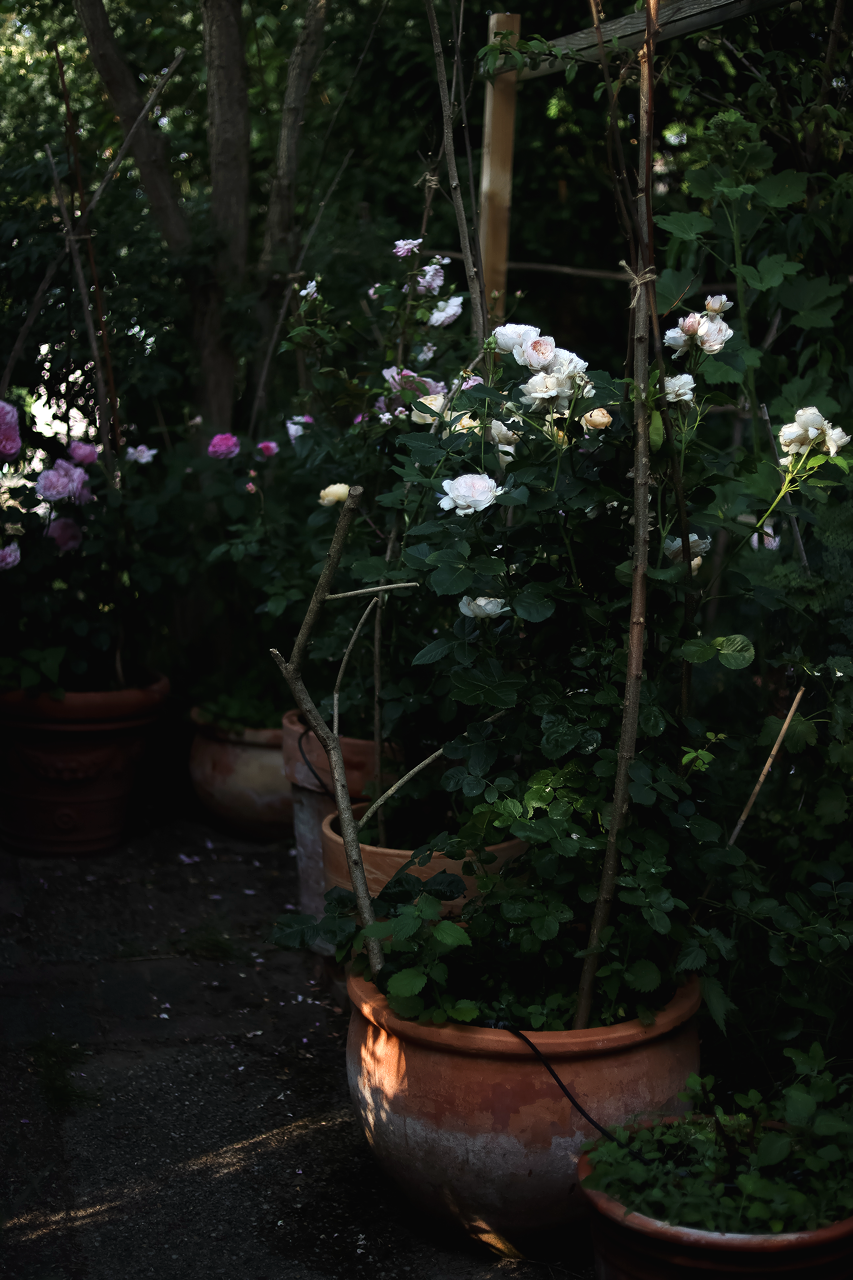 Gro%C3%9F+%28Garten+Inspiration+%2823+von+30%29%29.png