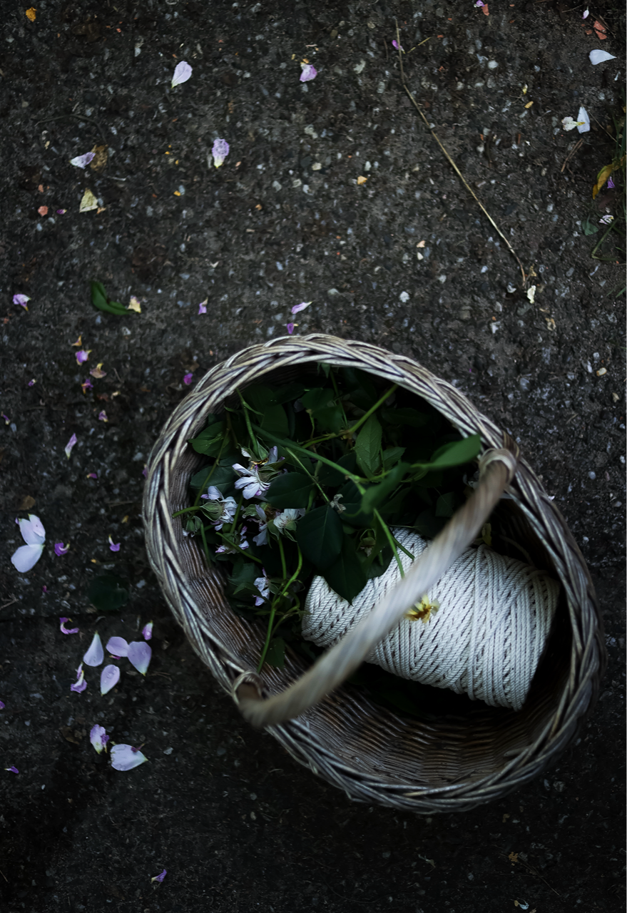 Gro%C3%9F+%28Garten+Inspiration+%2816+von+30%29%29.png