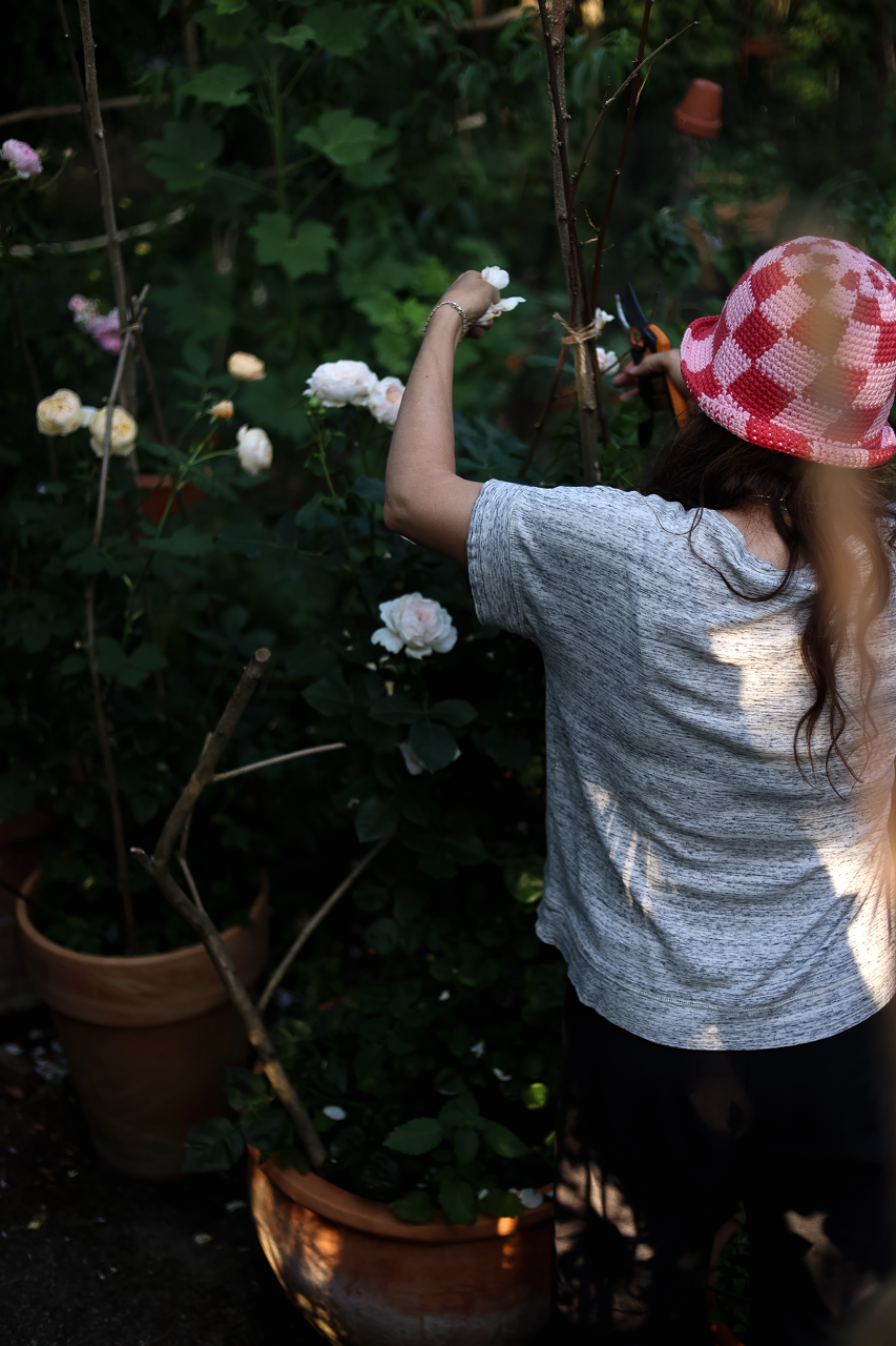 Gro%C3%9F+%28Garten+Inspiration+%2817+von+30%29%29.png