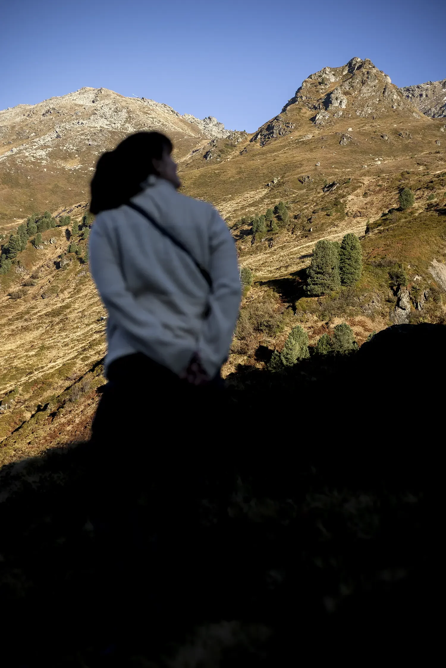 foto-retreat-rosswildalm.webp