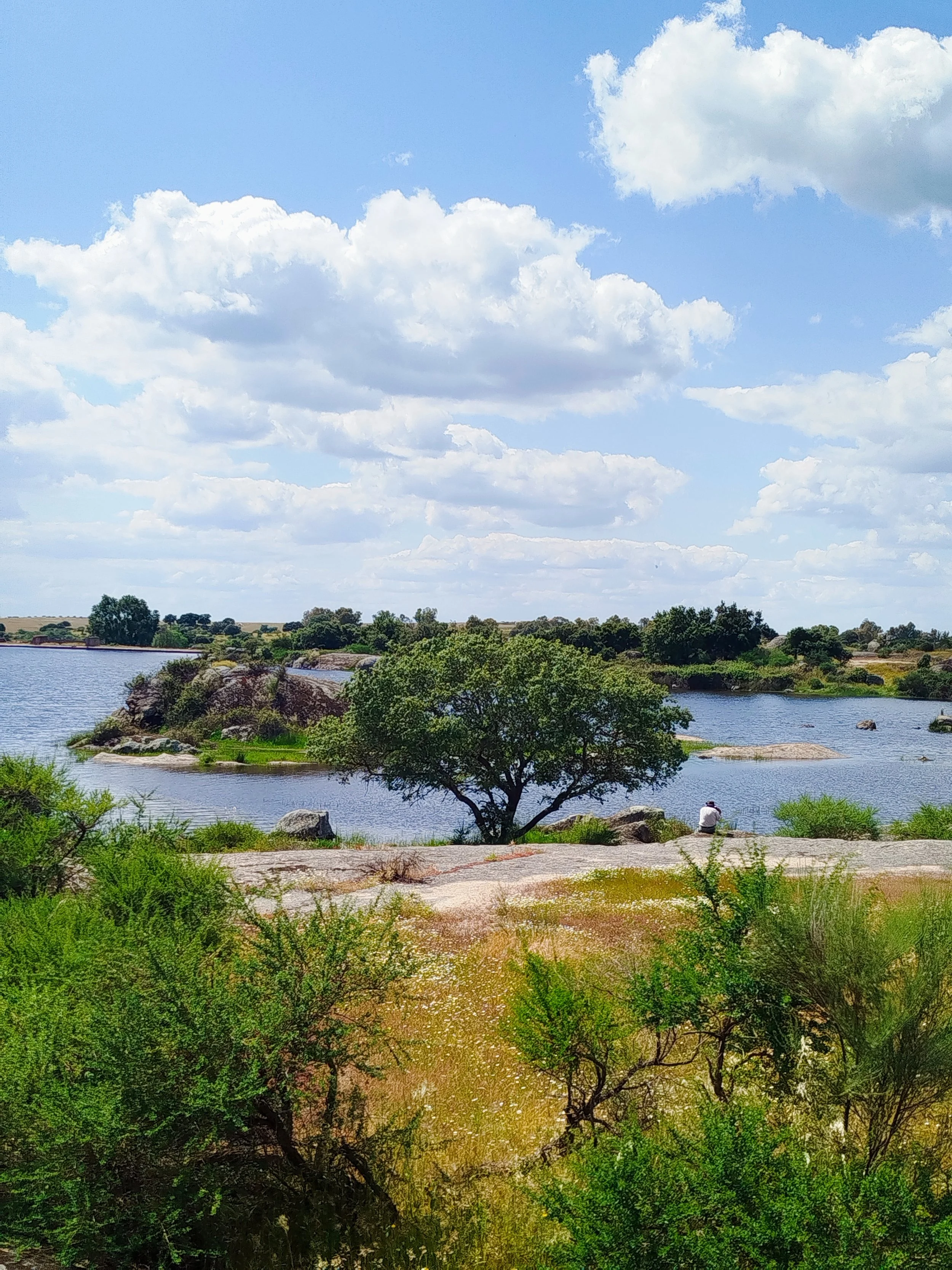 Scenic landscape featuring a river with rocks and a person sitting on a rock, surrounded by green trees and bushes, under a partly cloudy sky.
