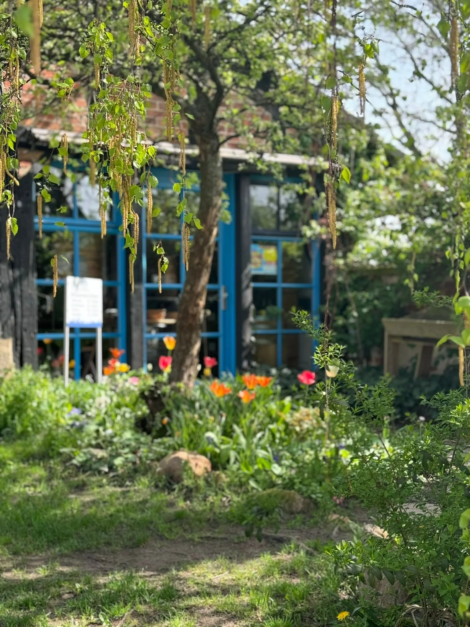 Garten mit blühenden Blumen, Bäumen und einem blauen Gartenhaus im Hintergrund, sonniges Wetter.