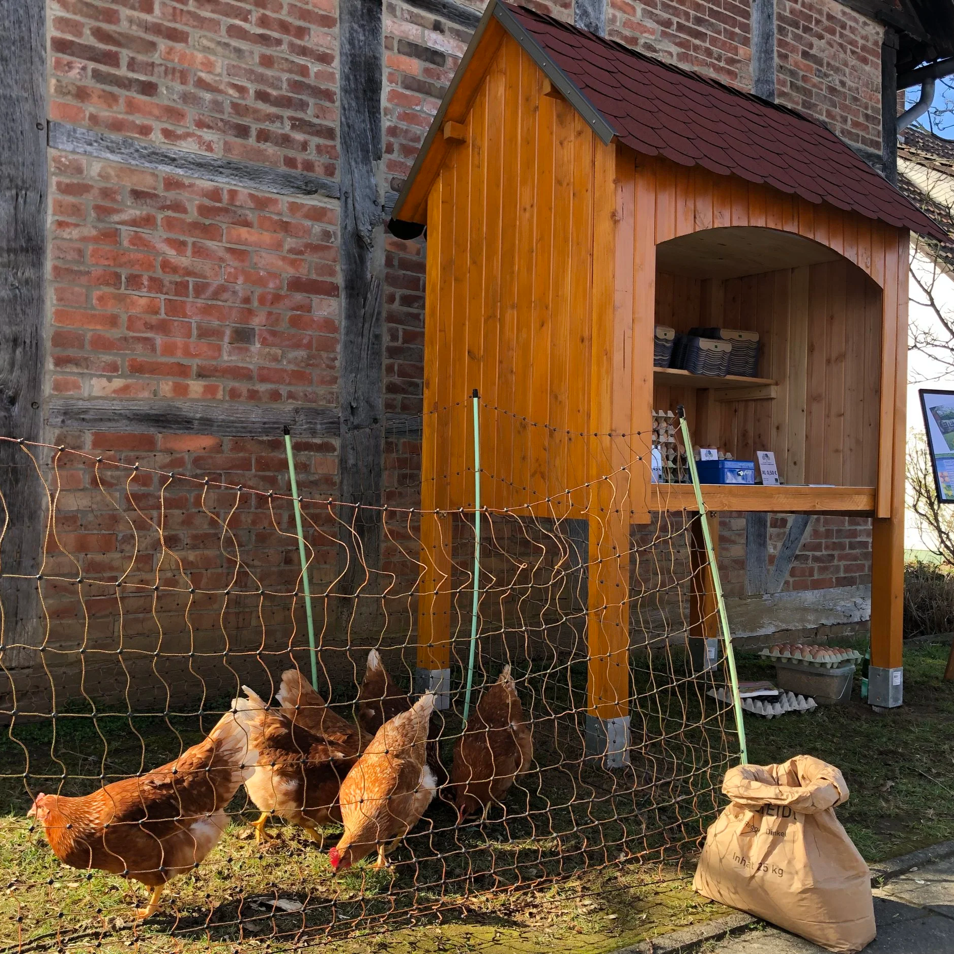 Hühner an einer Verkaufsstelle des Klosterguts Dibbesdorf für frische Bio-Eier.