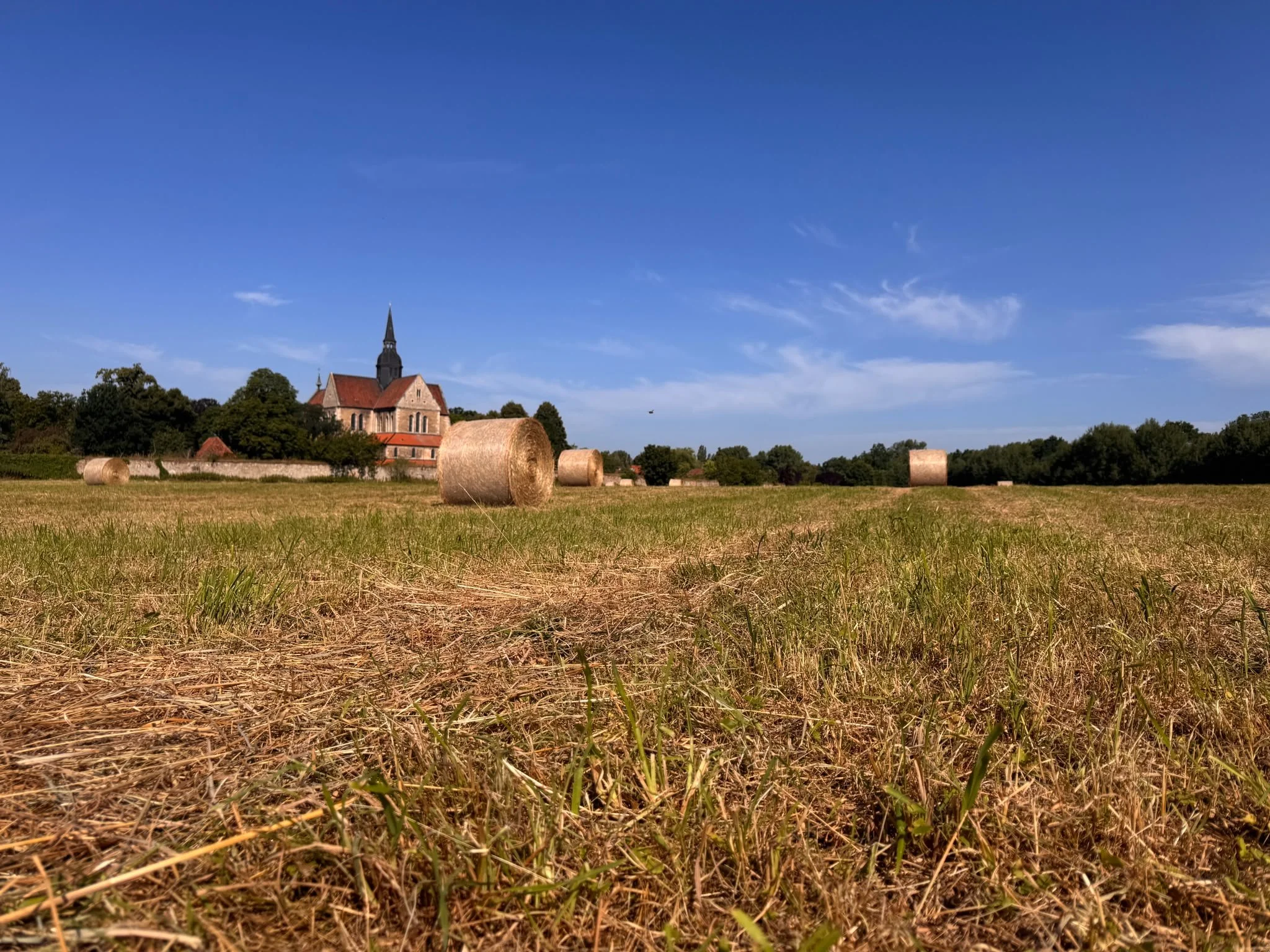 Ökologisch bewirtschaftete Flächen rund um das Klostergut Dibbesdorf bei Braunschweig.