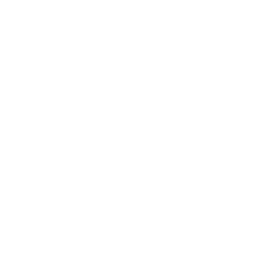 A black and white logo of a lion's head inside a shield outline.