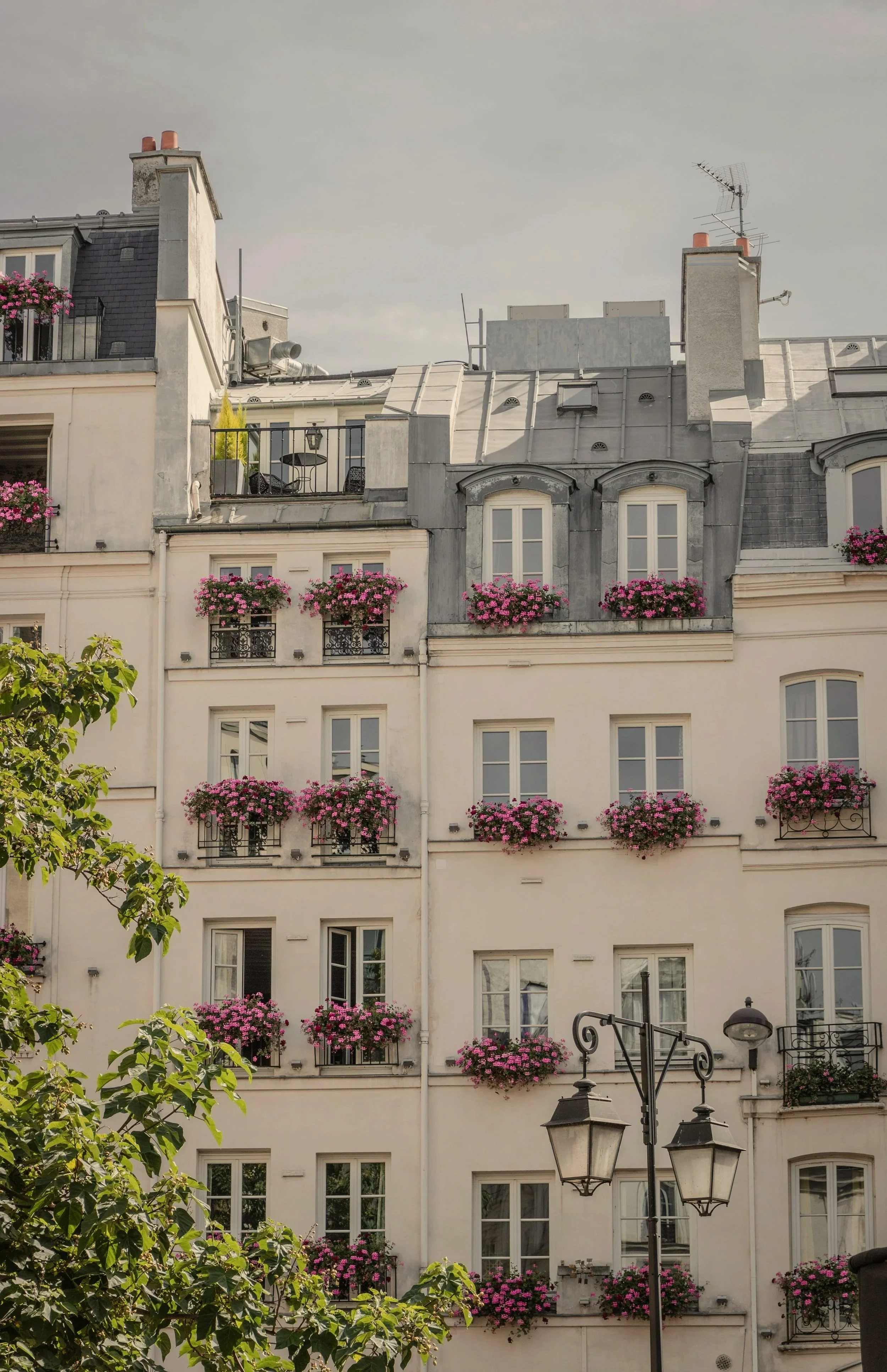 Multiple story building with cream-colored facade, multiple windows with flower boxes full of pink flowers, rooftop terraces, antennas, and street lamps in front.