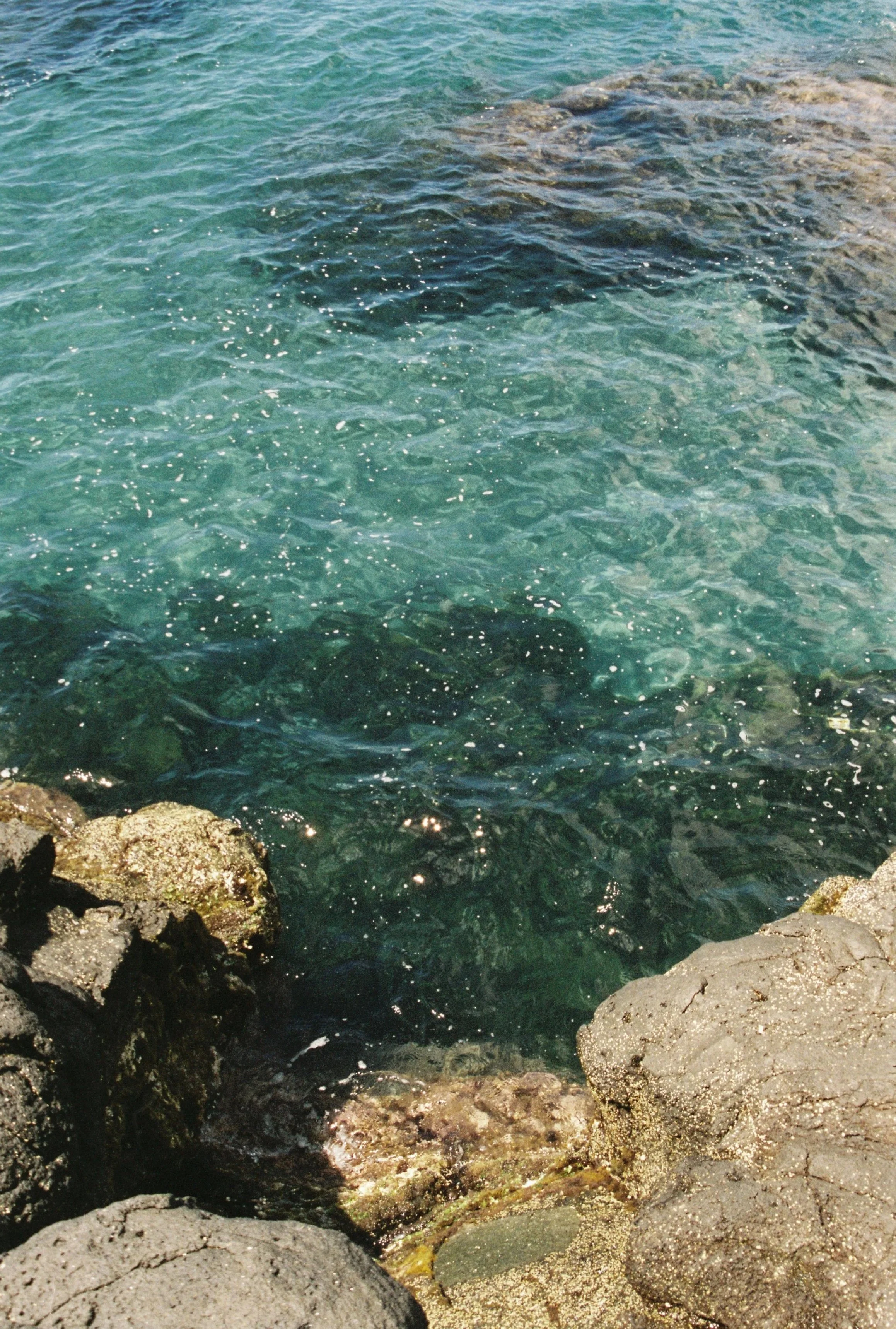 TW-cinestill+400+d-agua+de+pau-24.jpg