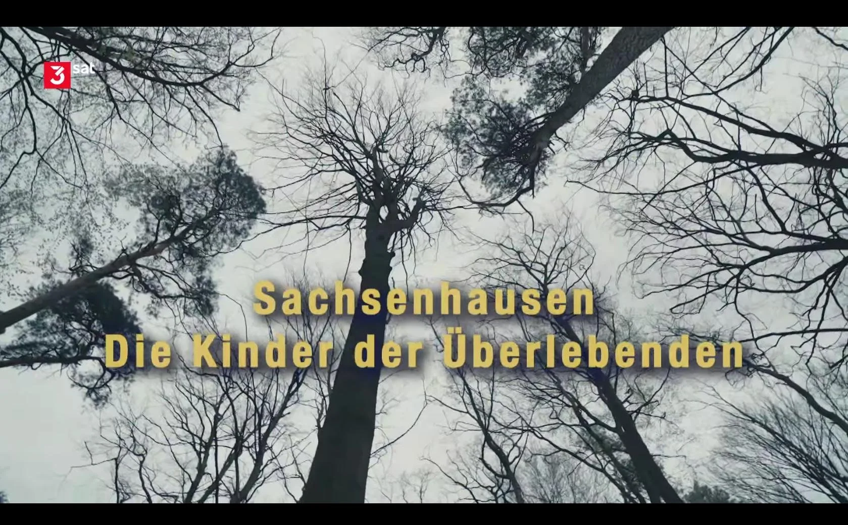 Sachsenhausen - The Children of Survivors | 2025