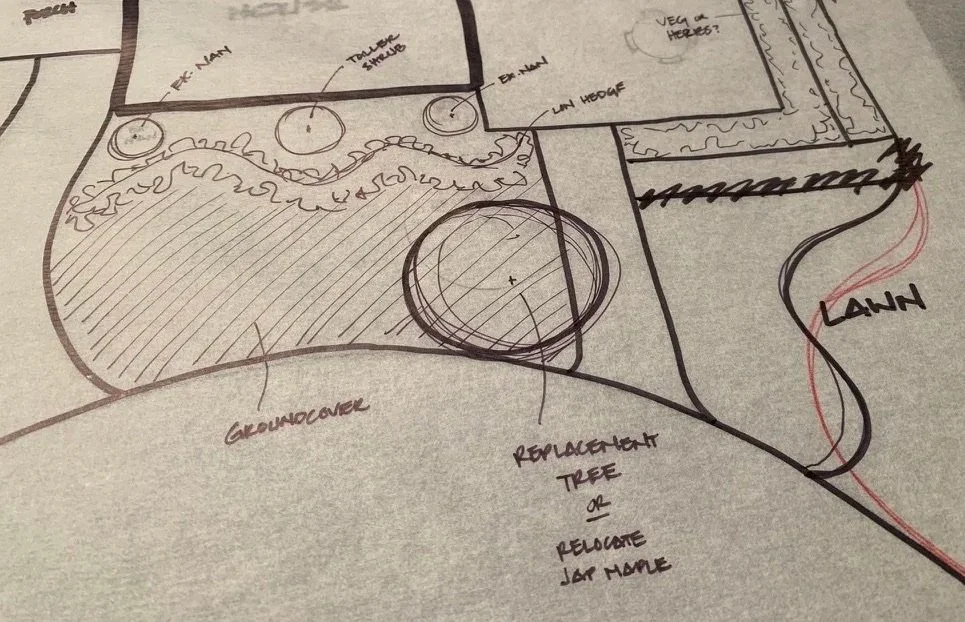 Landscape design hand sketch